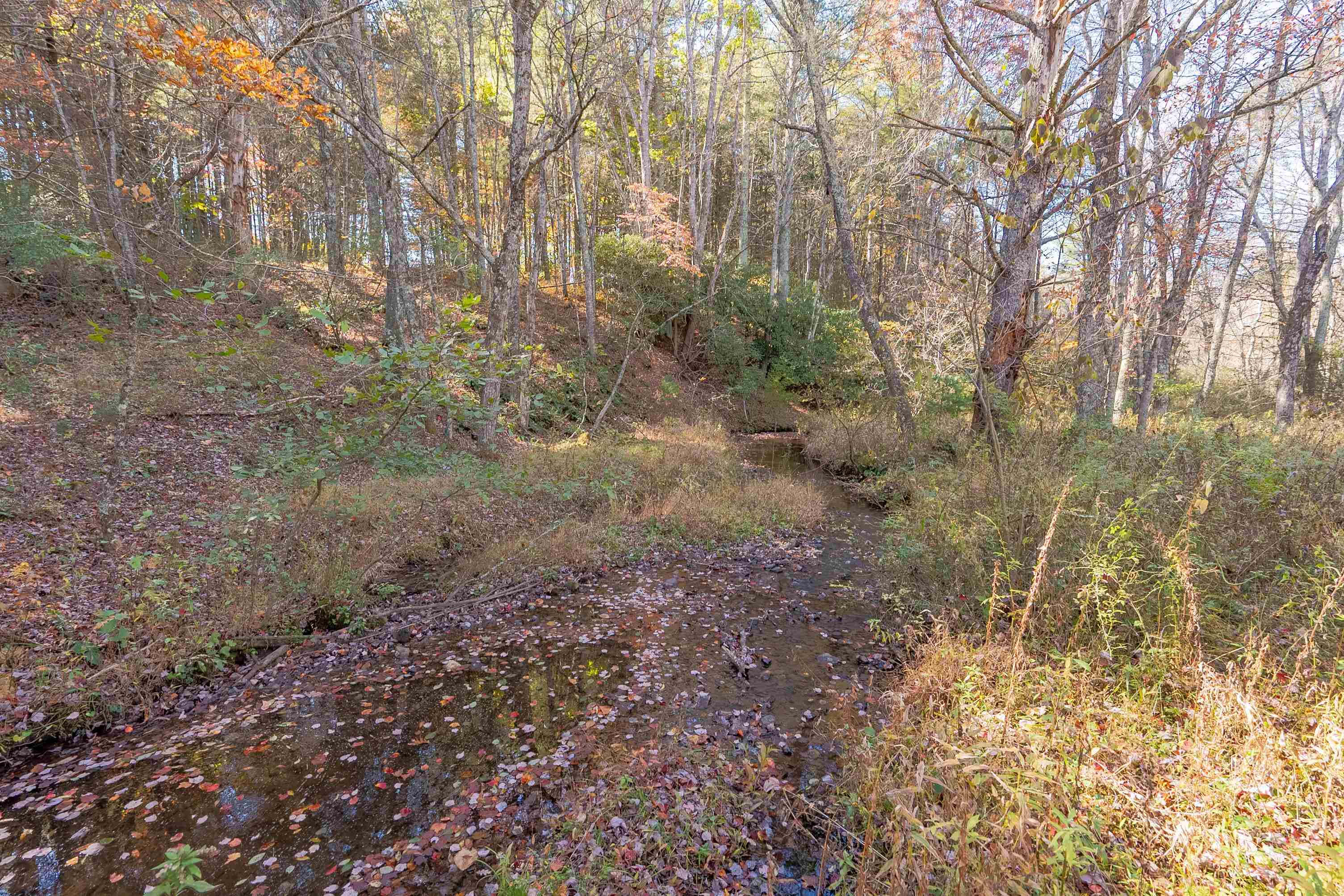 254 Dusty Mile Road NW Willis VA 24380