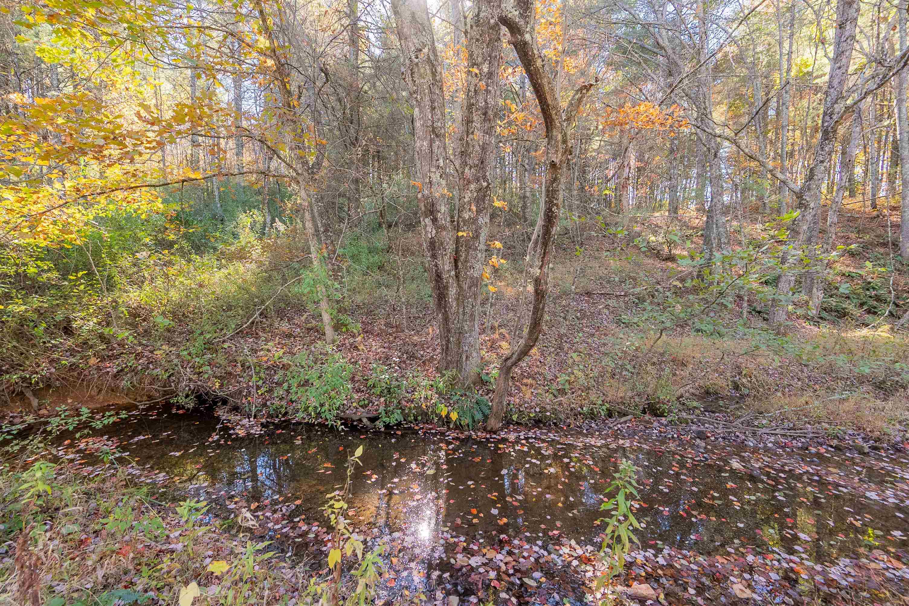 254 Dusty Mile Road NW Willis VA 24380