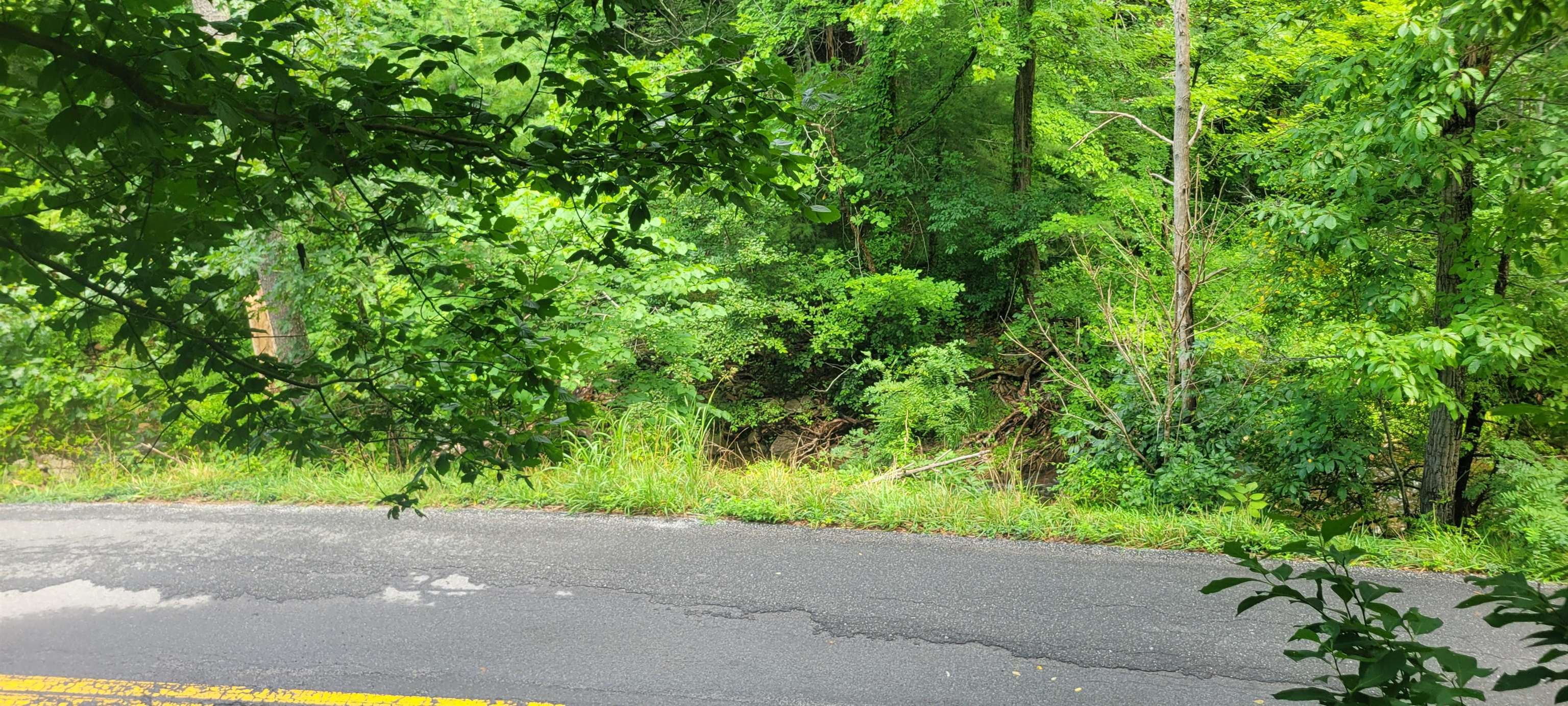 3893 Alleghany Spring Road Shawsville VA 24162