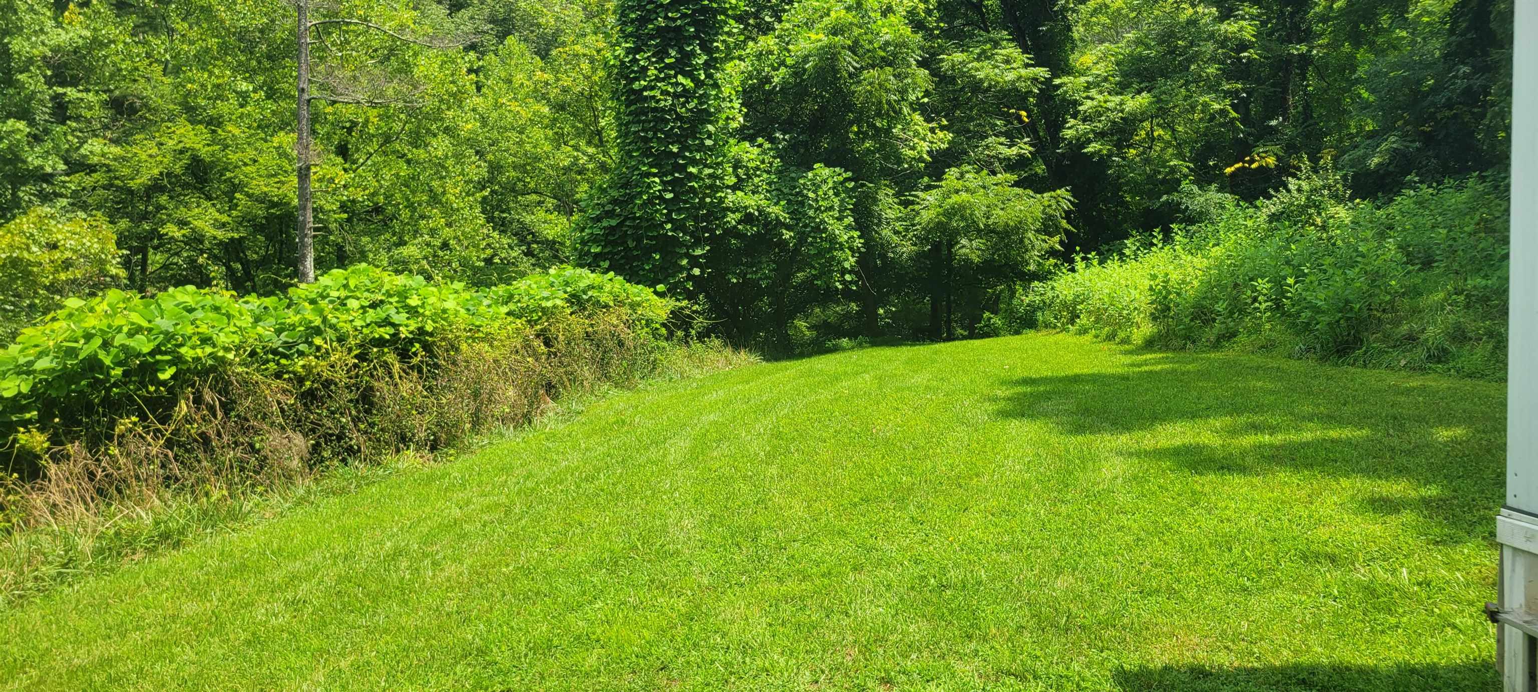3893 Alleghany Spring Road Shawsville VA 24162