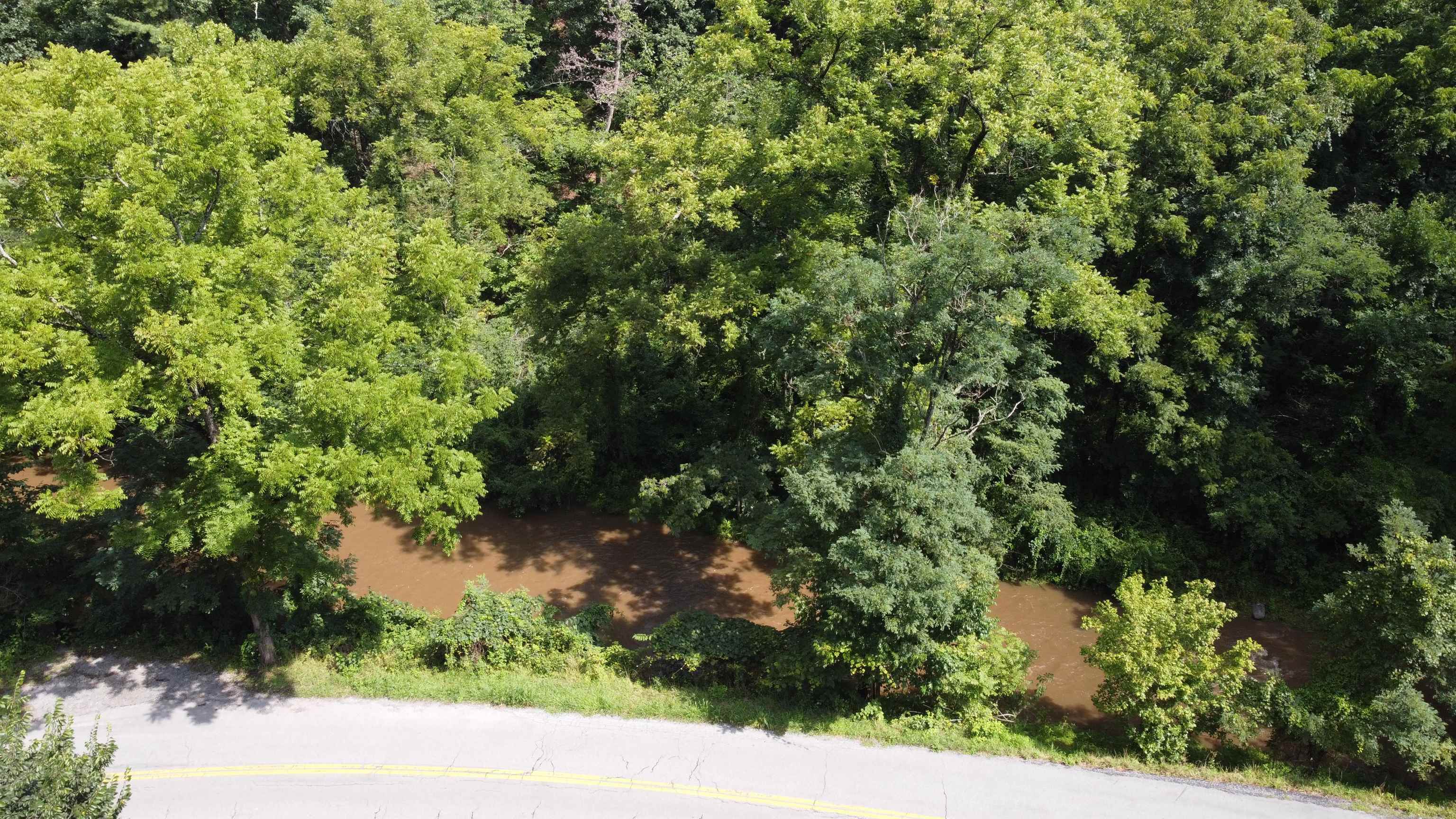 3893 Alleghany Spring Road Shawsville VA 24162