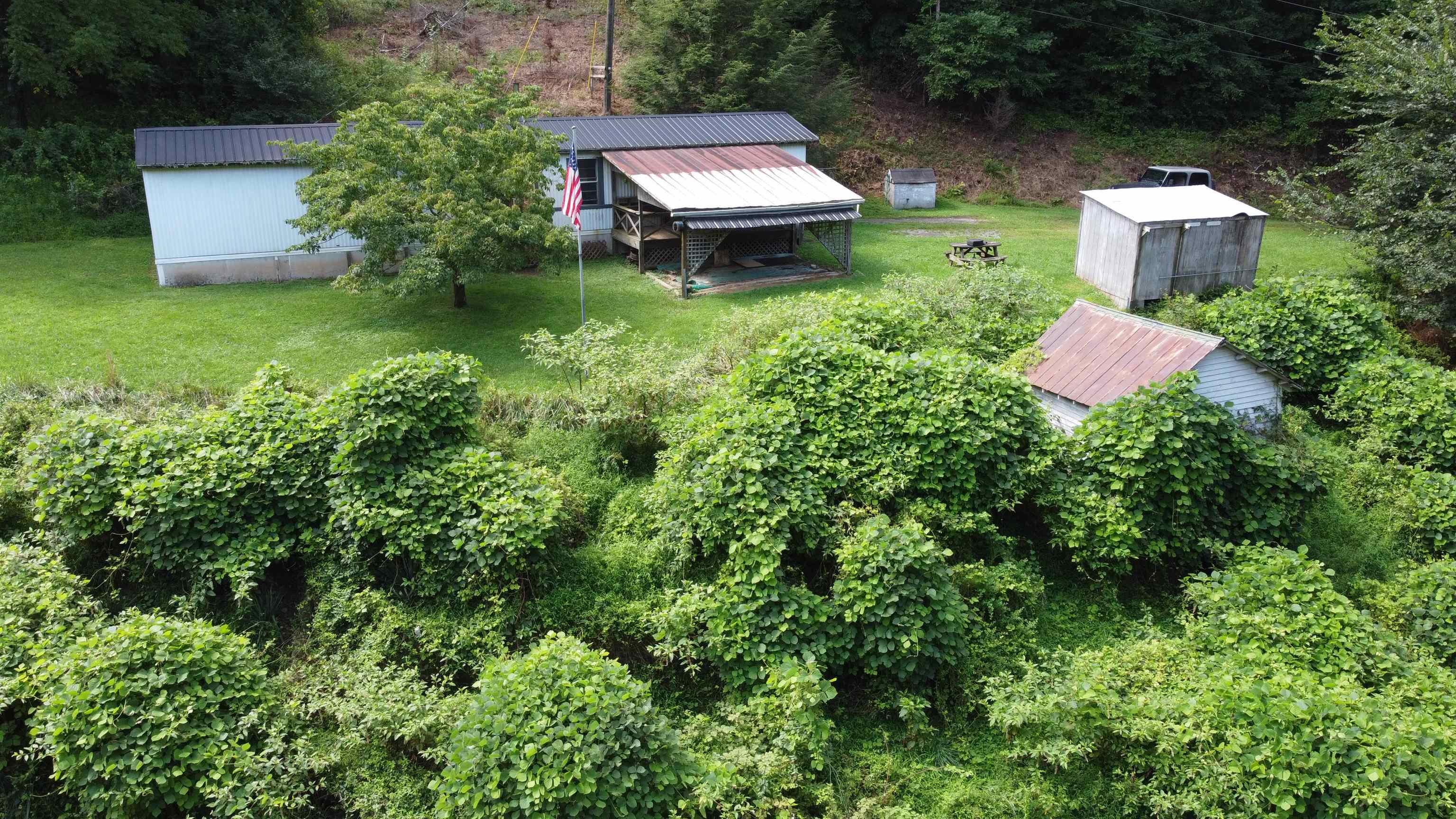 3893 Alleghany Spring Road Shawsville VA 24162