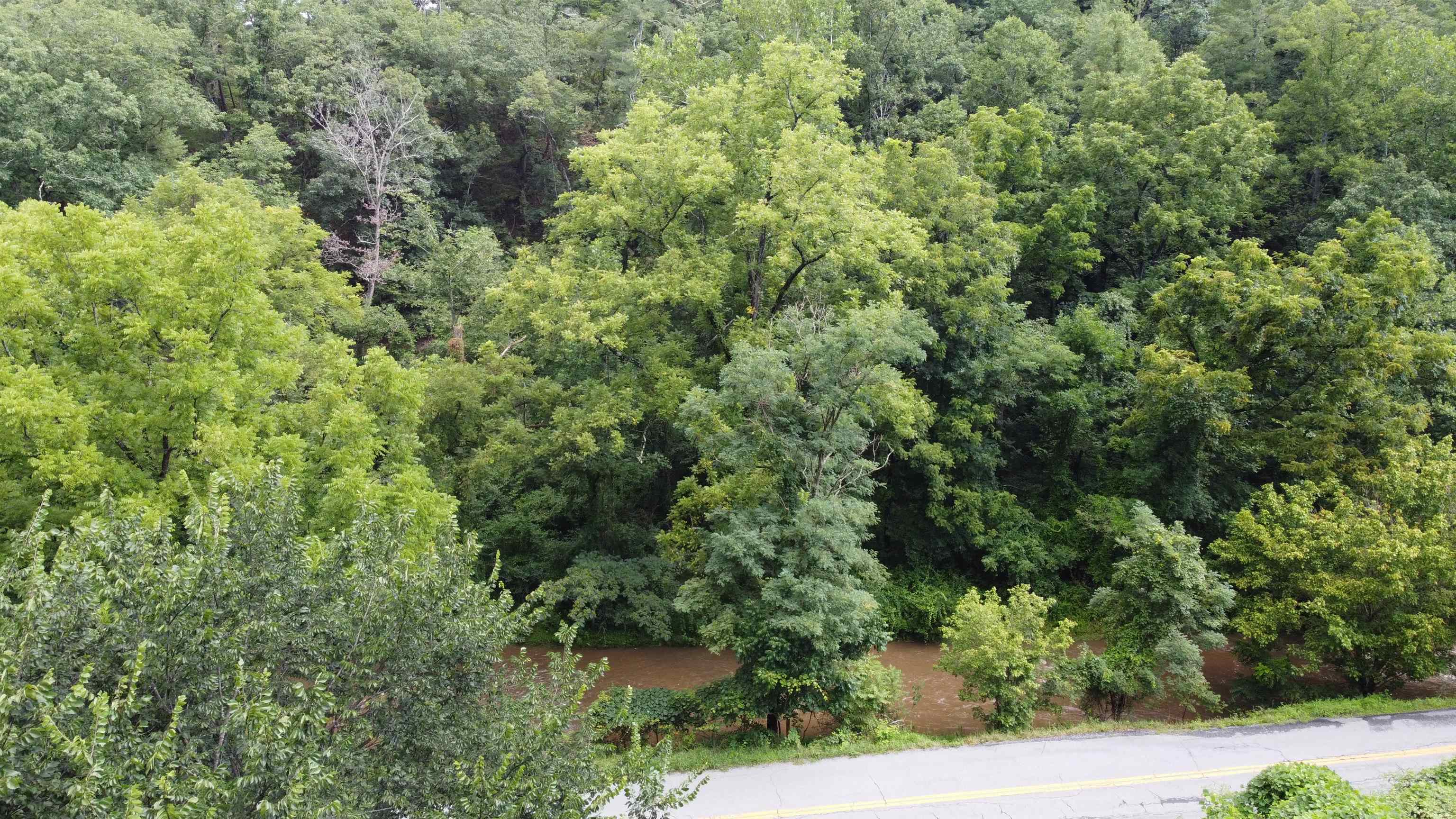 3893 Alleghany Spring Road Shawsville VA 24162