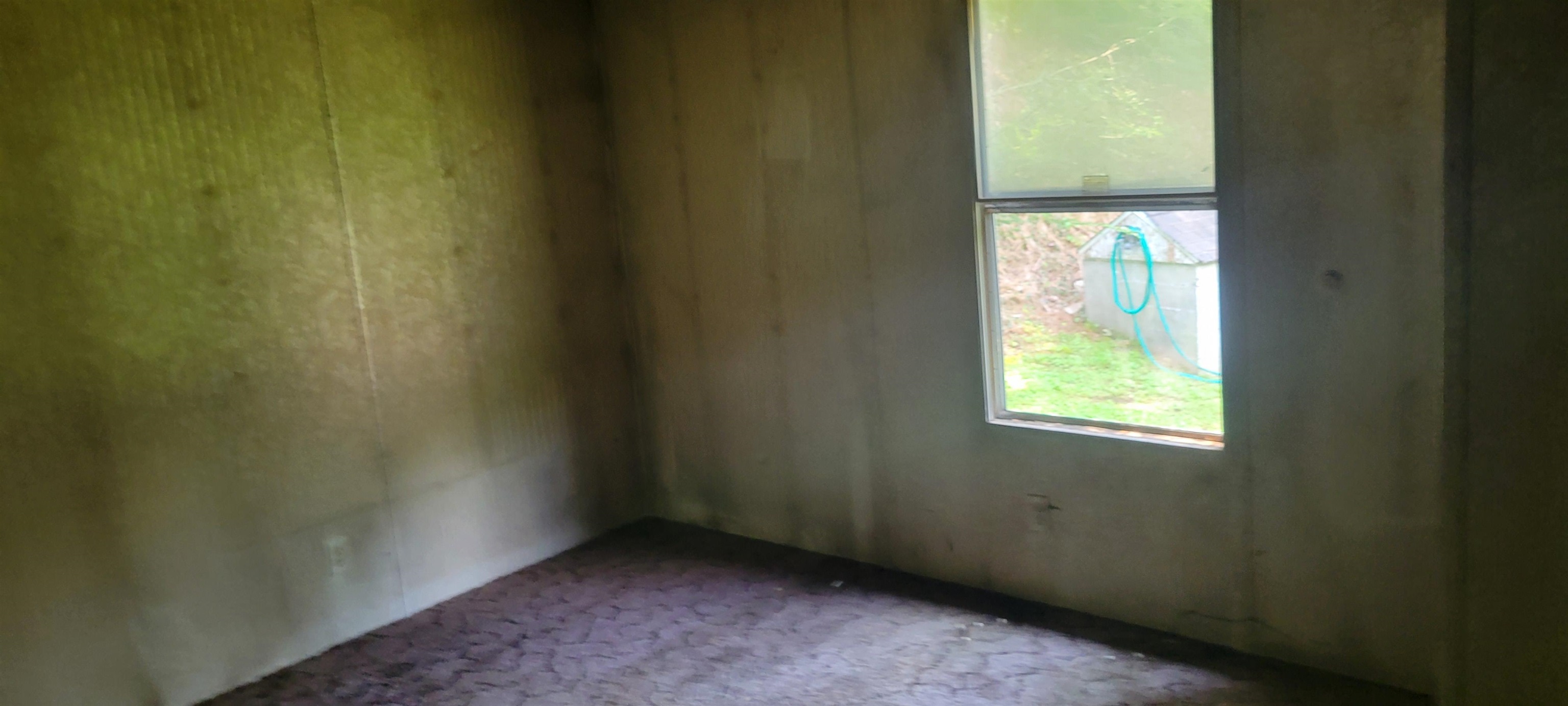 3893 Alleghany Spring Road Shawsville VA 24162