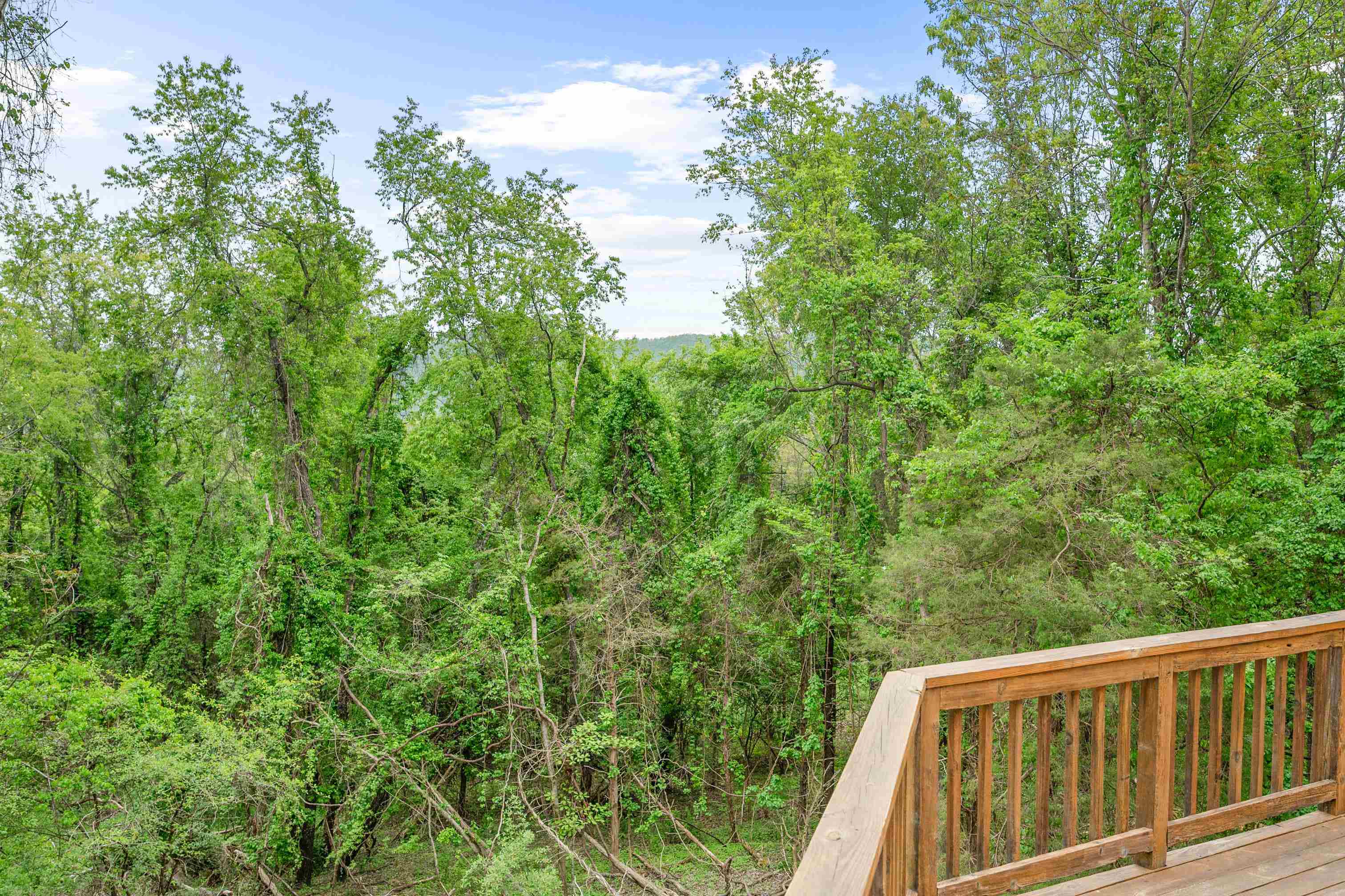 554 Deercroft Drive Blacksburg VA 24060