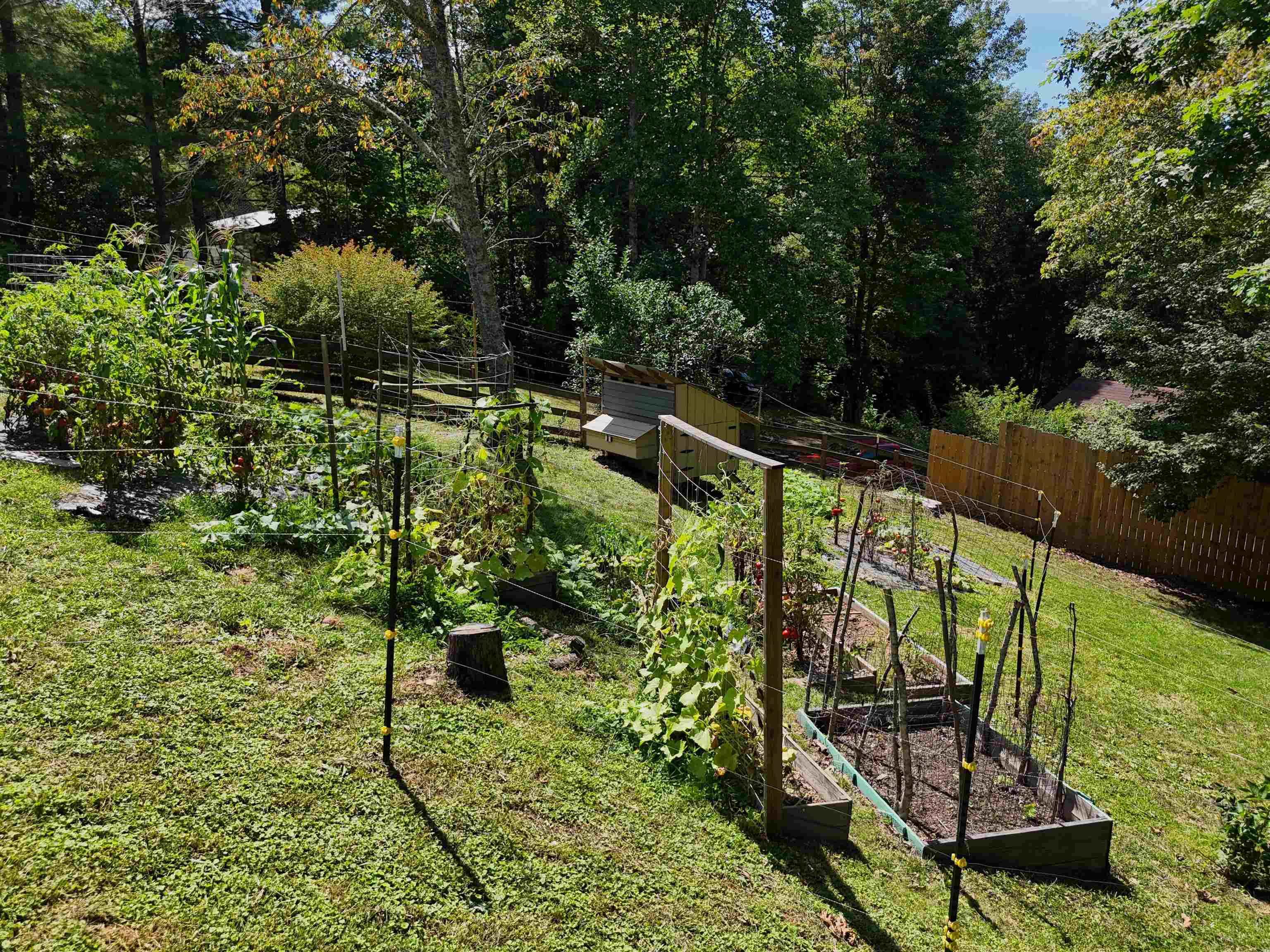 5885 Chestnut Ridge Road Riner VA 24149
