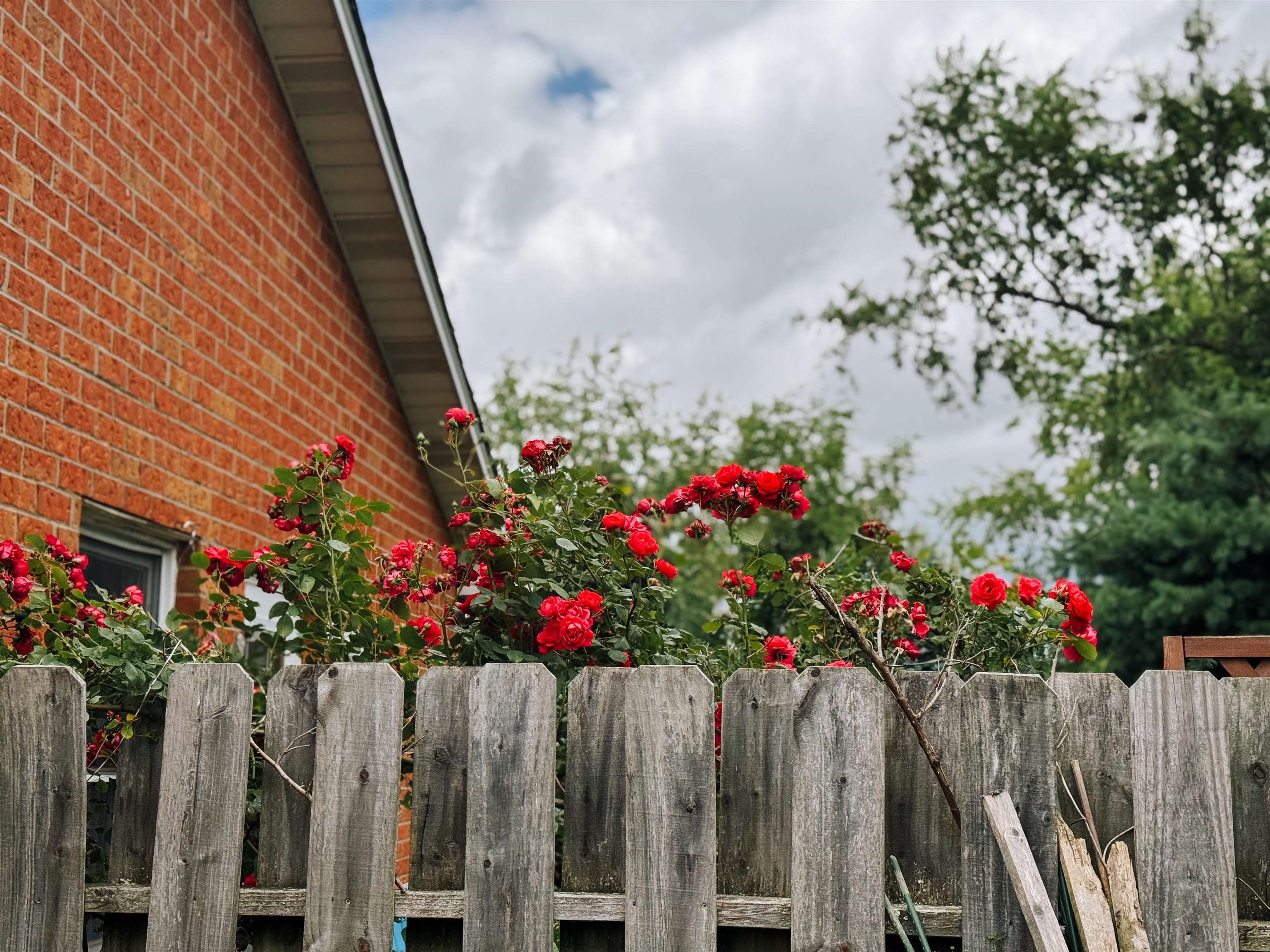 1450 & 1452 Sandy Circle Blacksburg VA 24060