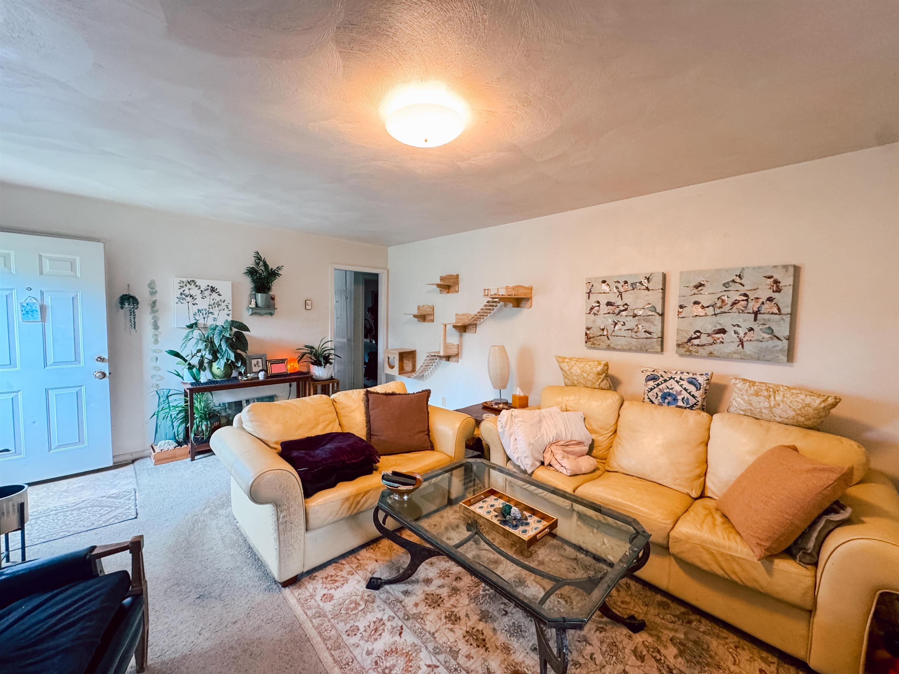 1450 & 1452 Sandy Circle Blacksburg VA 24060