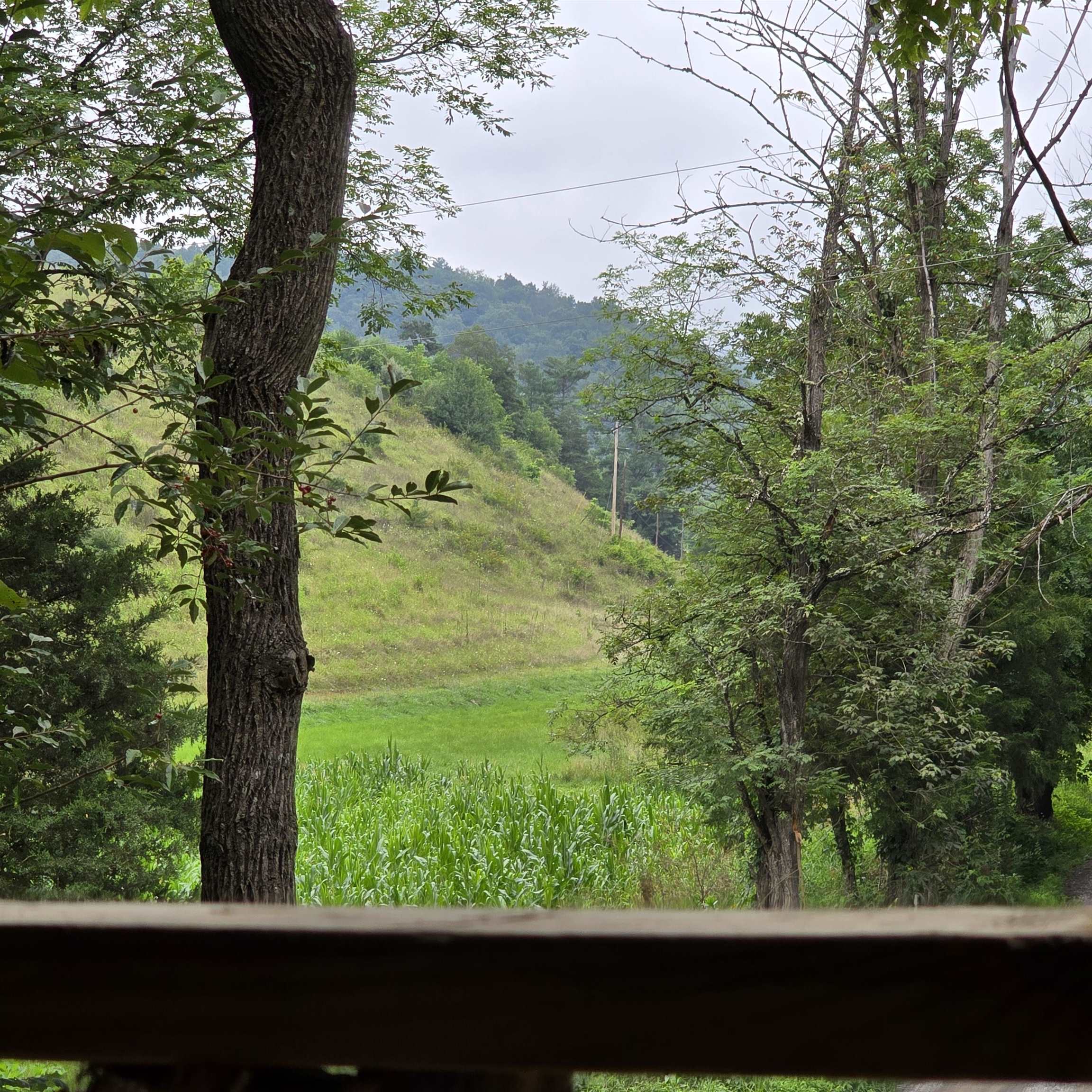 2638 Fishers View Road Shawsville VA 24162