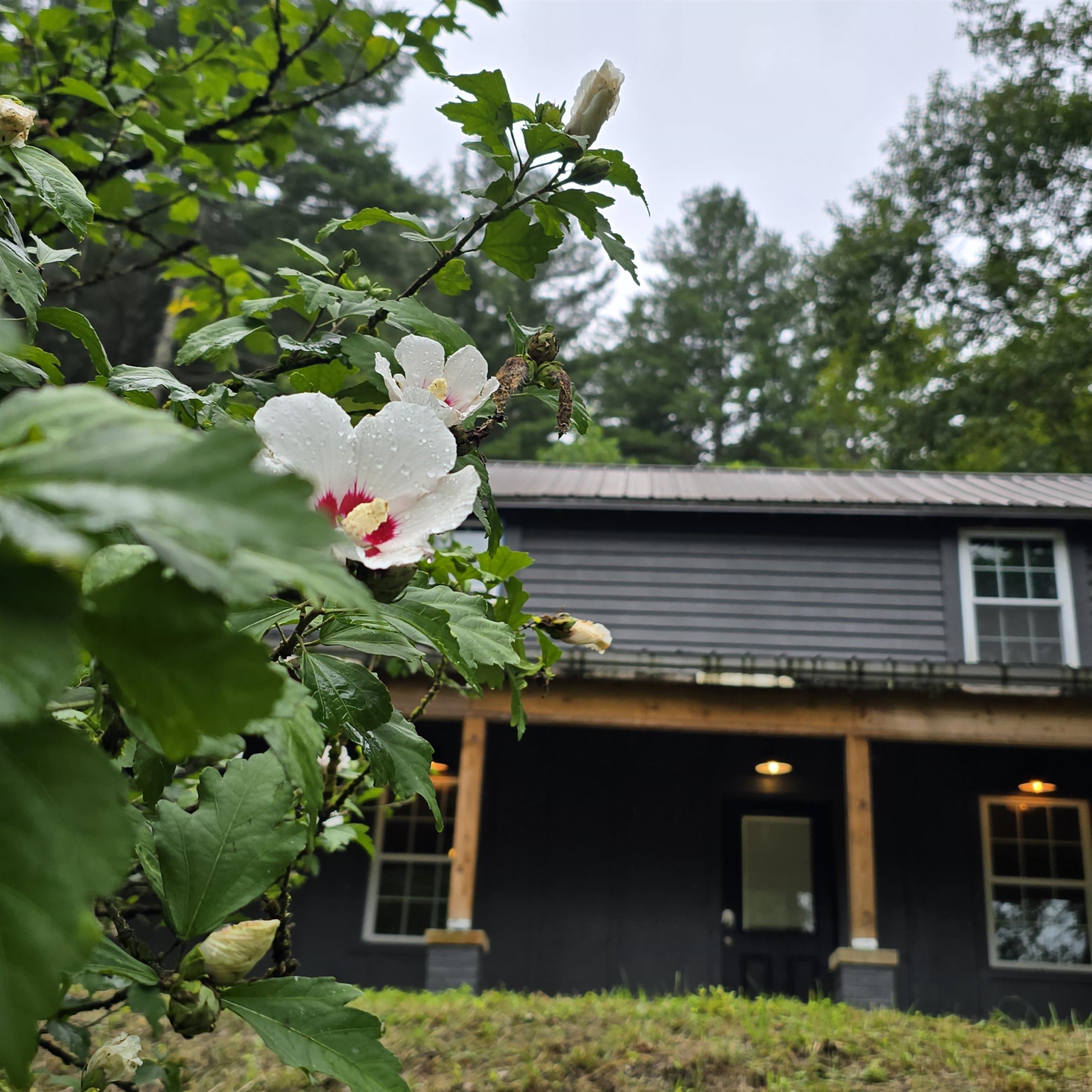 2638 Fishers View Road Shawsville VA 24162