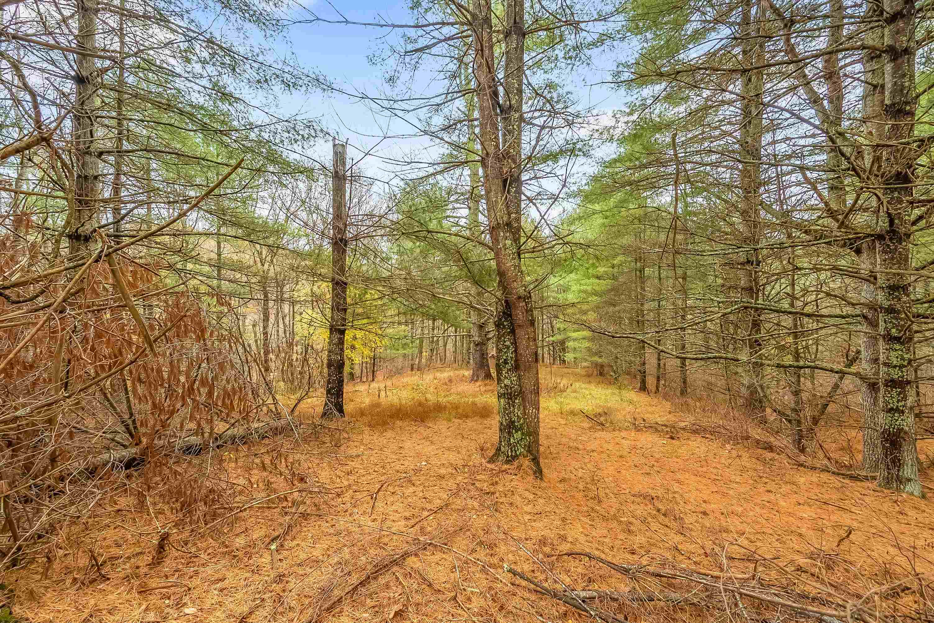 528 Falling Branch Road NW Floyd VA 24091