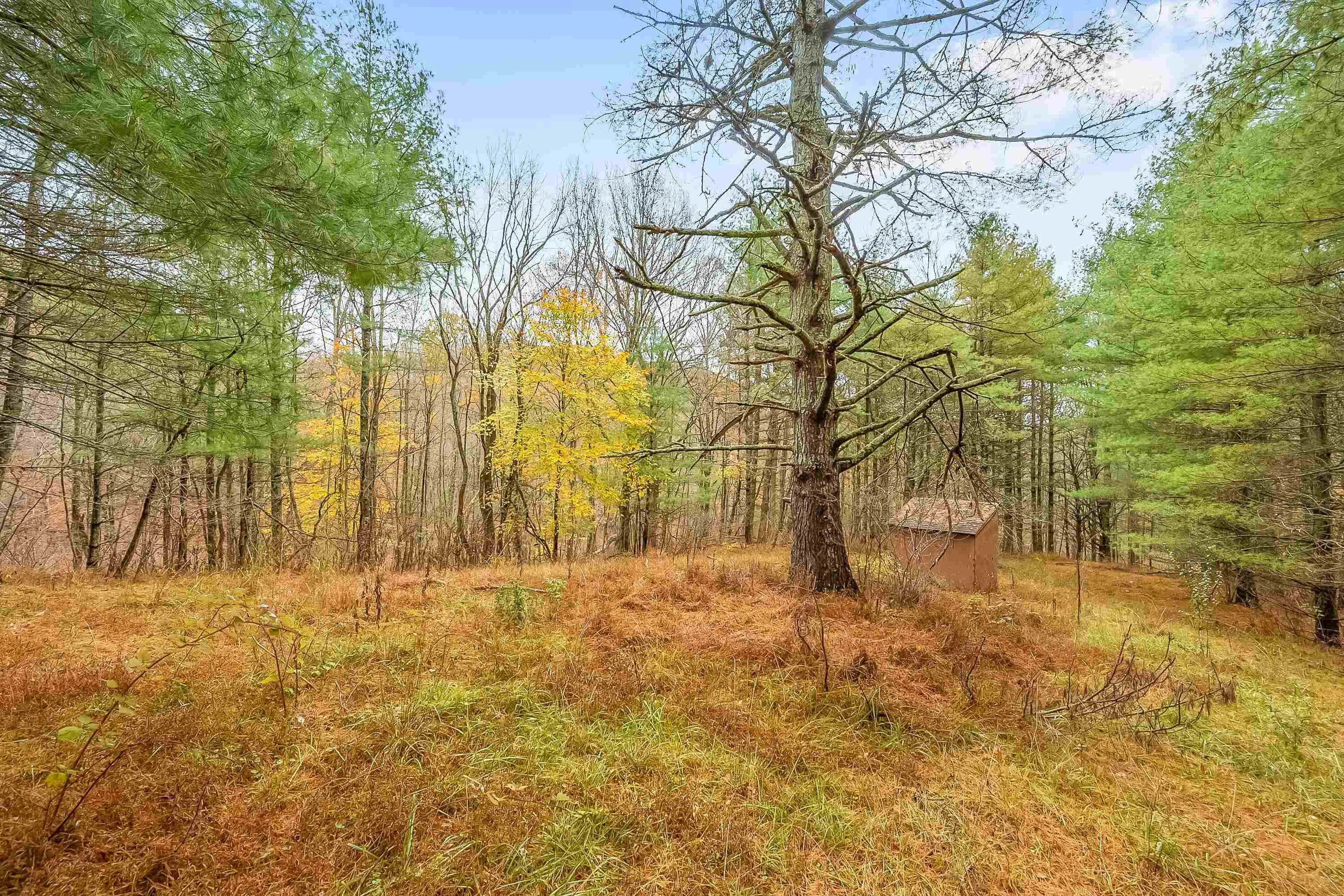 528 Falling Branch Road NW Floyd VA 24091