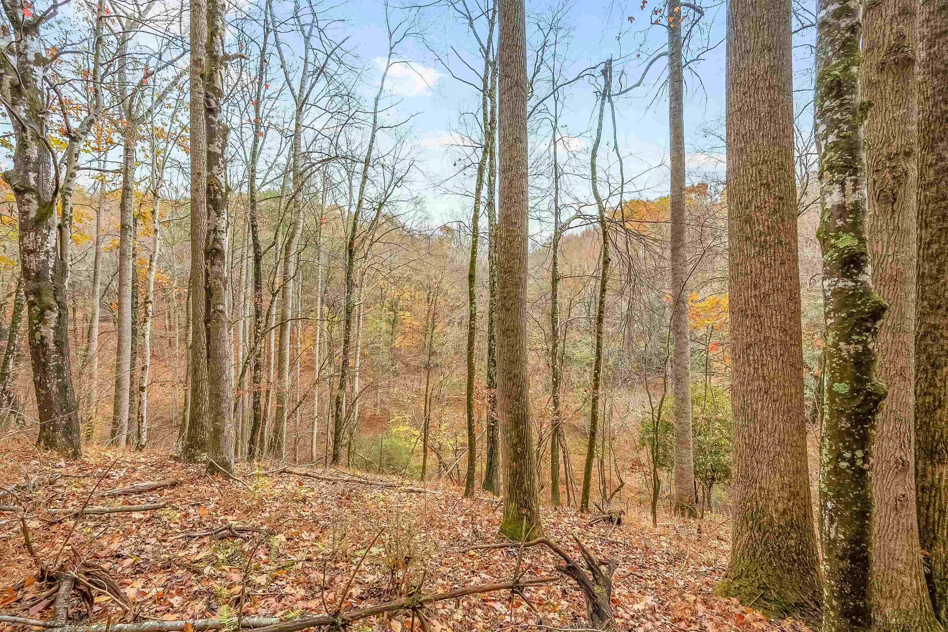 528 Falling Branch Road NW Floyd VA 24091