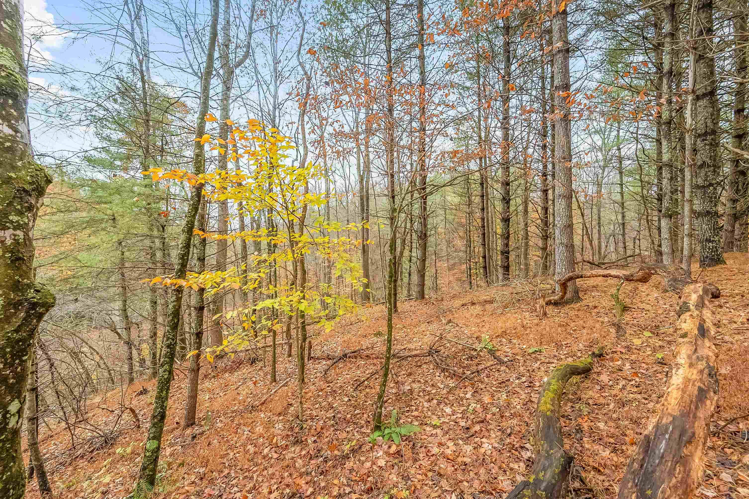 528 Falling Branch Road NW Floyd VA 24091