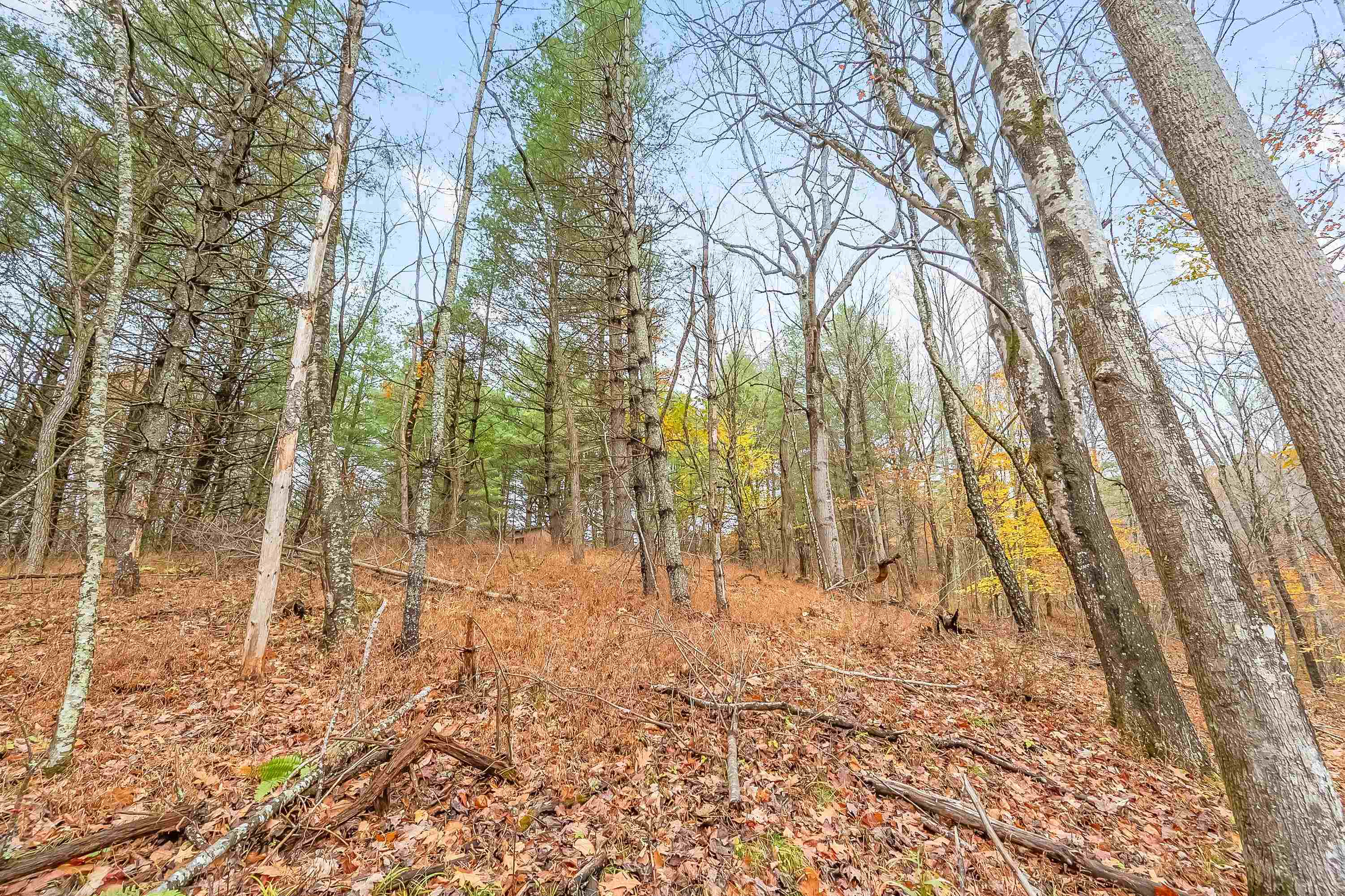 528 Falling Branch Road NW Floyd VA 24091