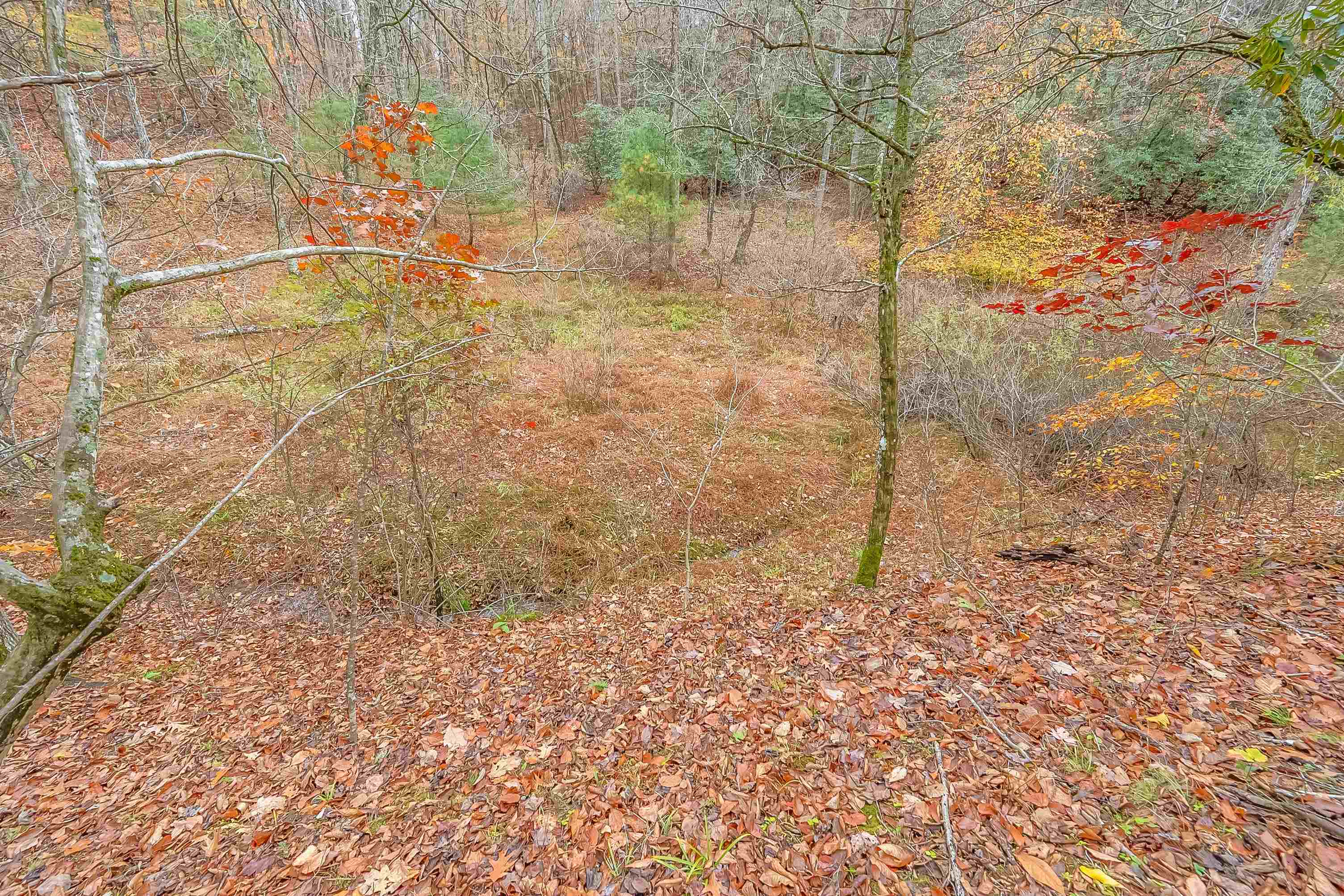 528 Falling Branch Road NW Floyd VA 24091