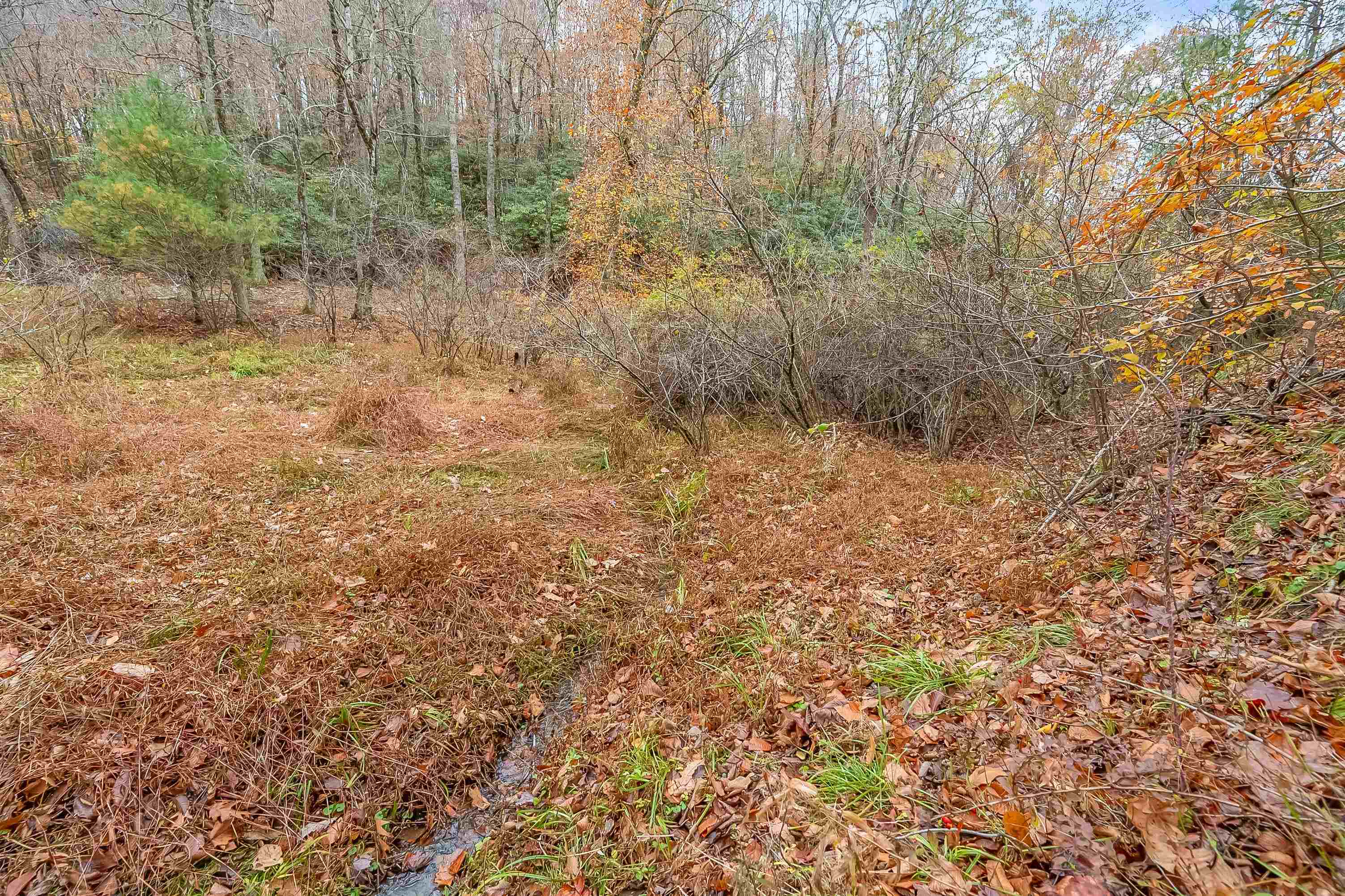 528 Falling Branch Road NW Floyd VA 24091