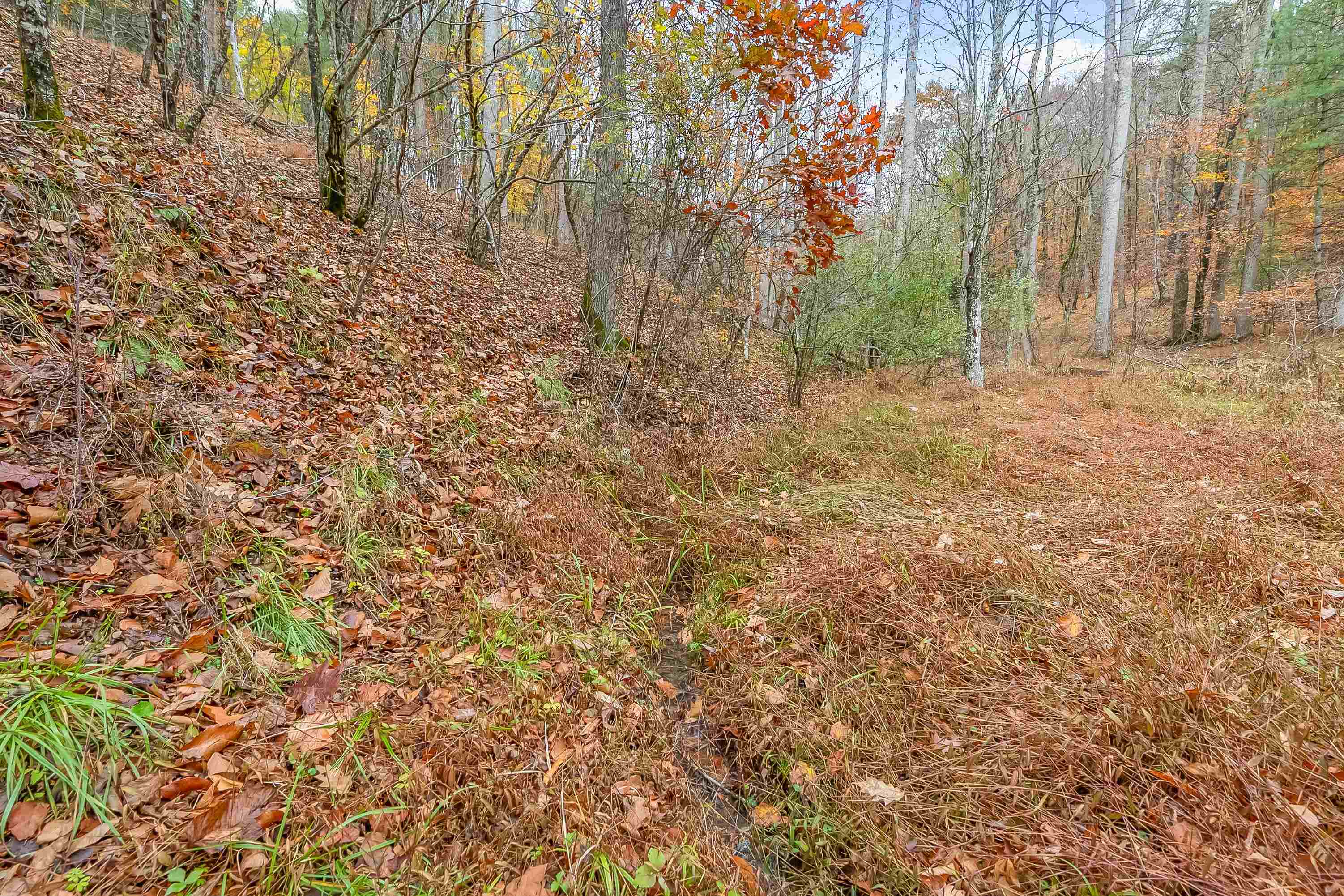 528 Falling Branch Road NW Floyd VA 24091