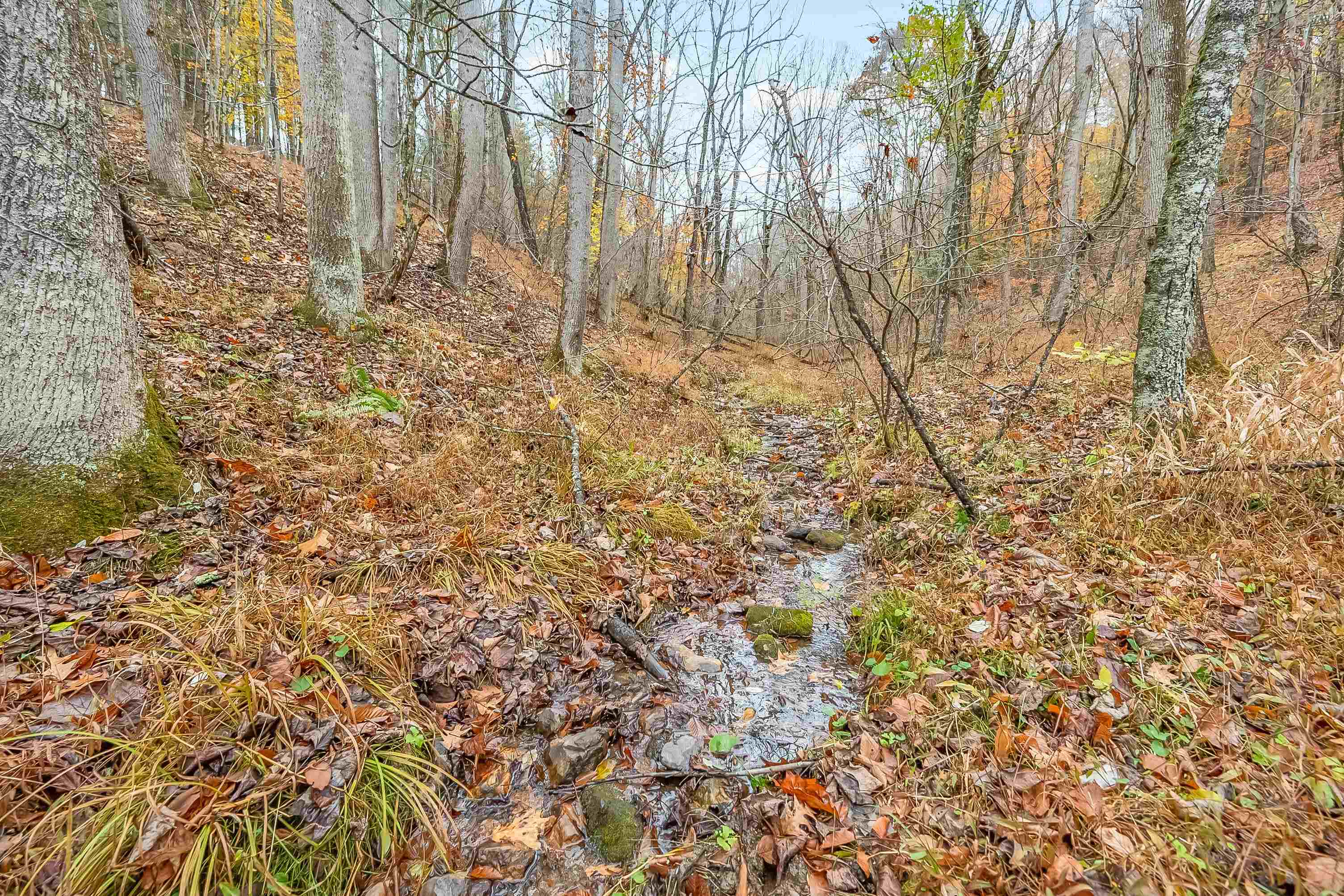 528 Falling Branch Road NW Floyd VA 24091