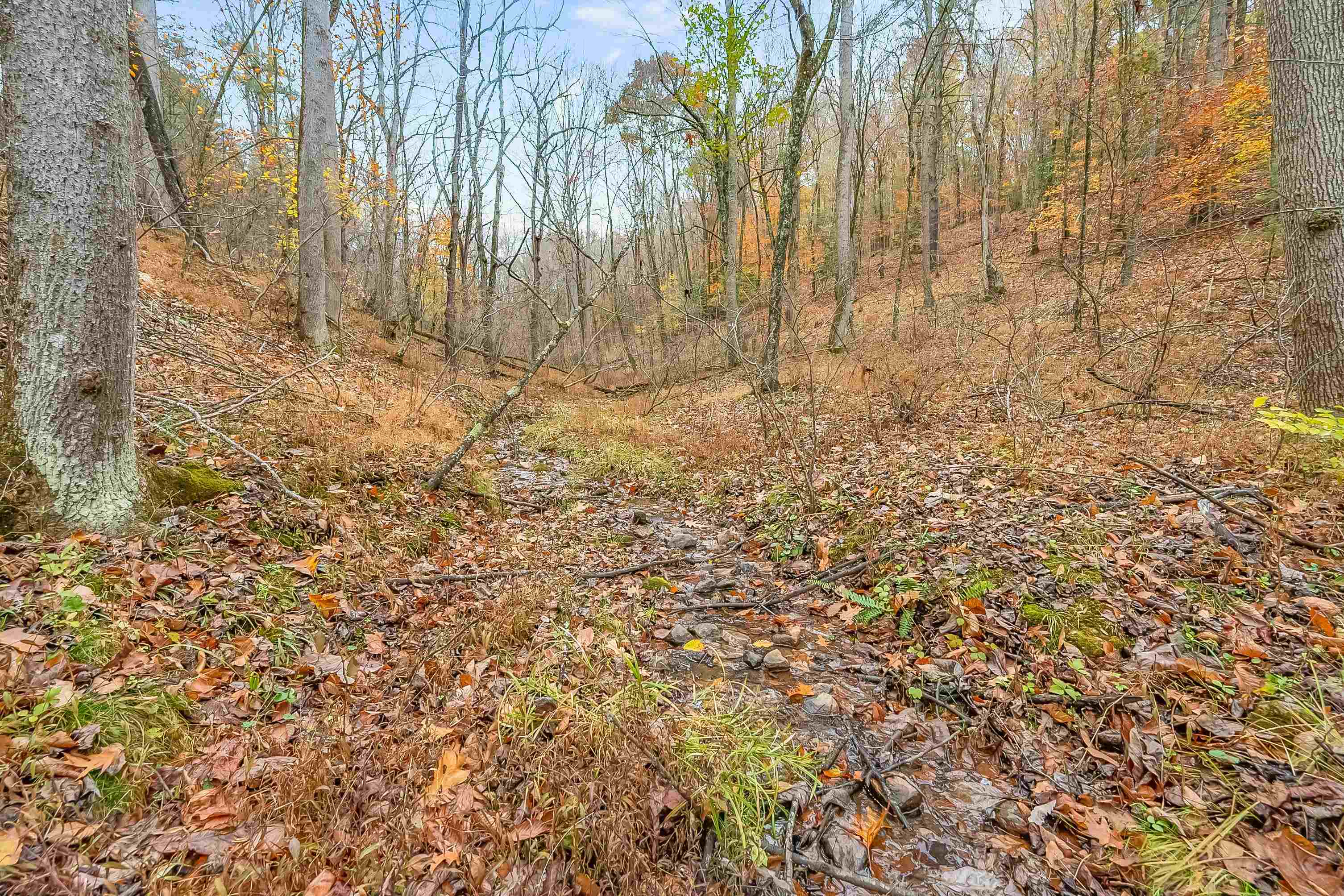 528 Falling Branch Road NW Floyd VA 24091