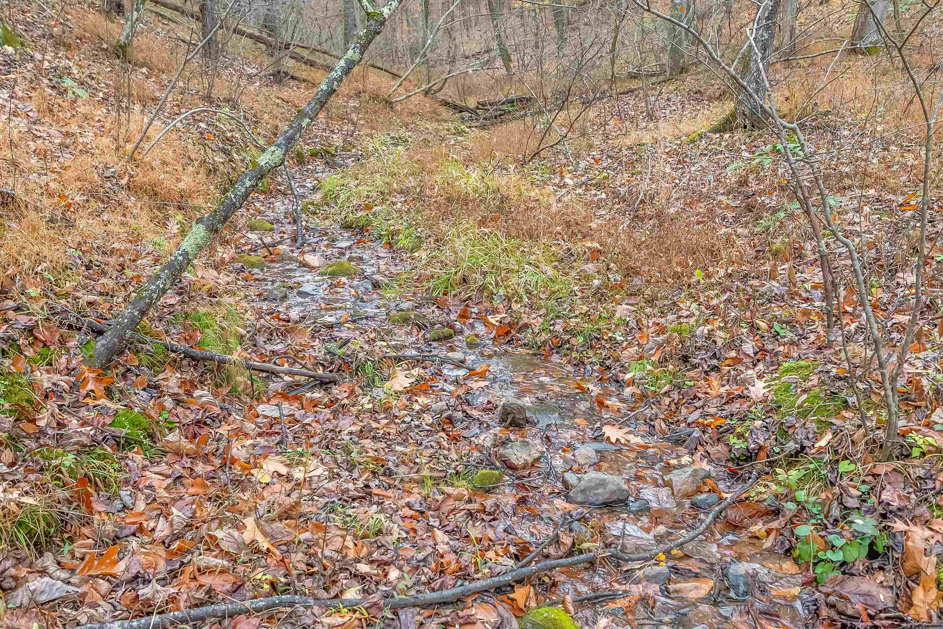 528 Falling Branch Road NW Floyd VA 24091