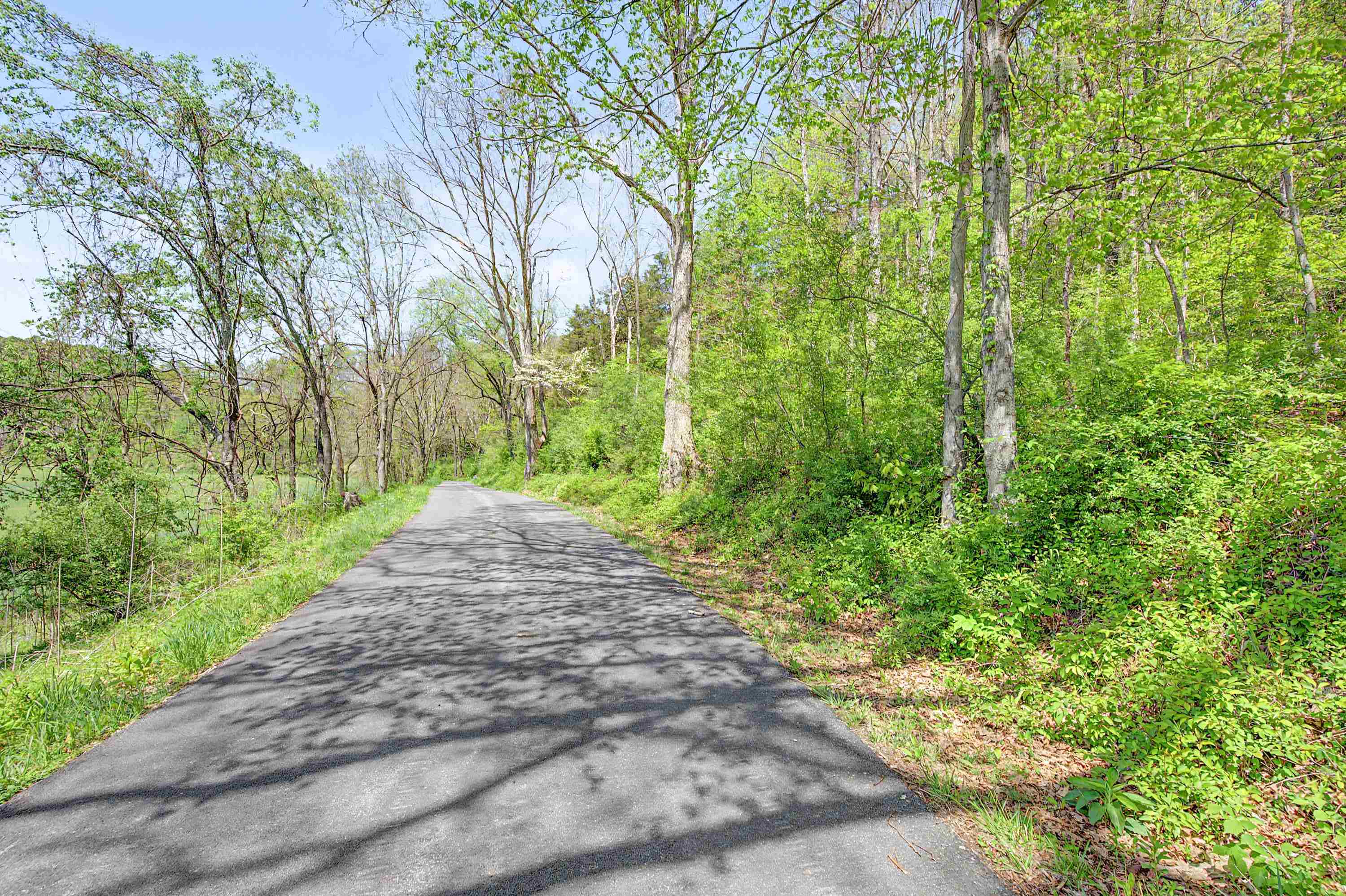 805 Sunset River Road Ceres VA 24318