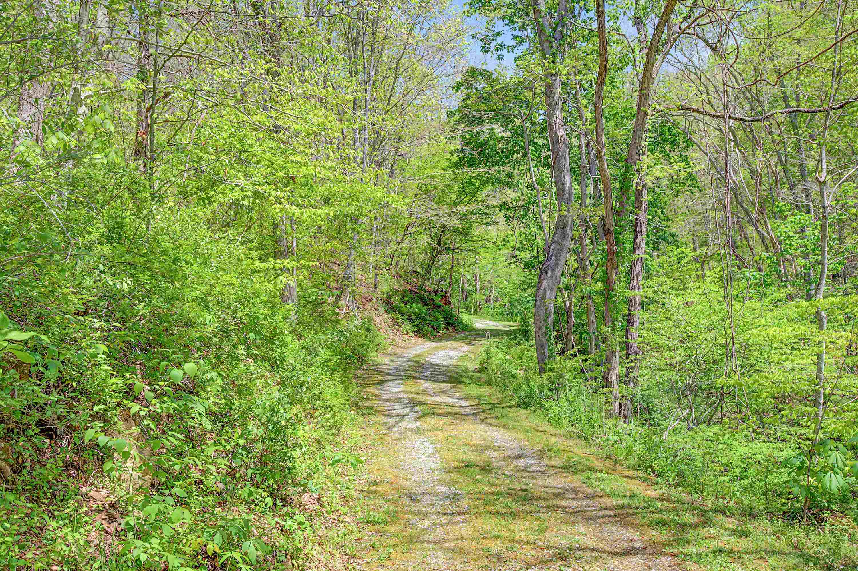 805 Sunset River Road Ceres VA 24318