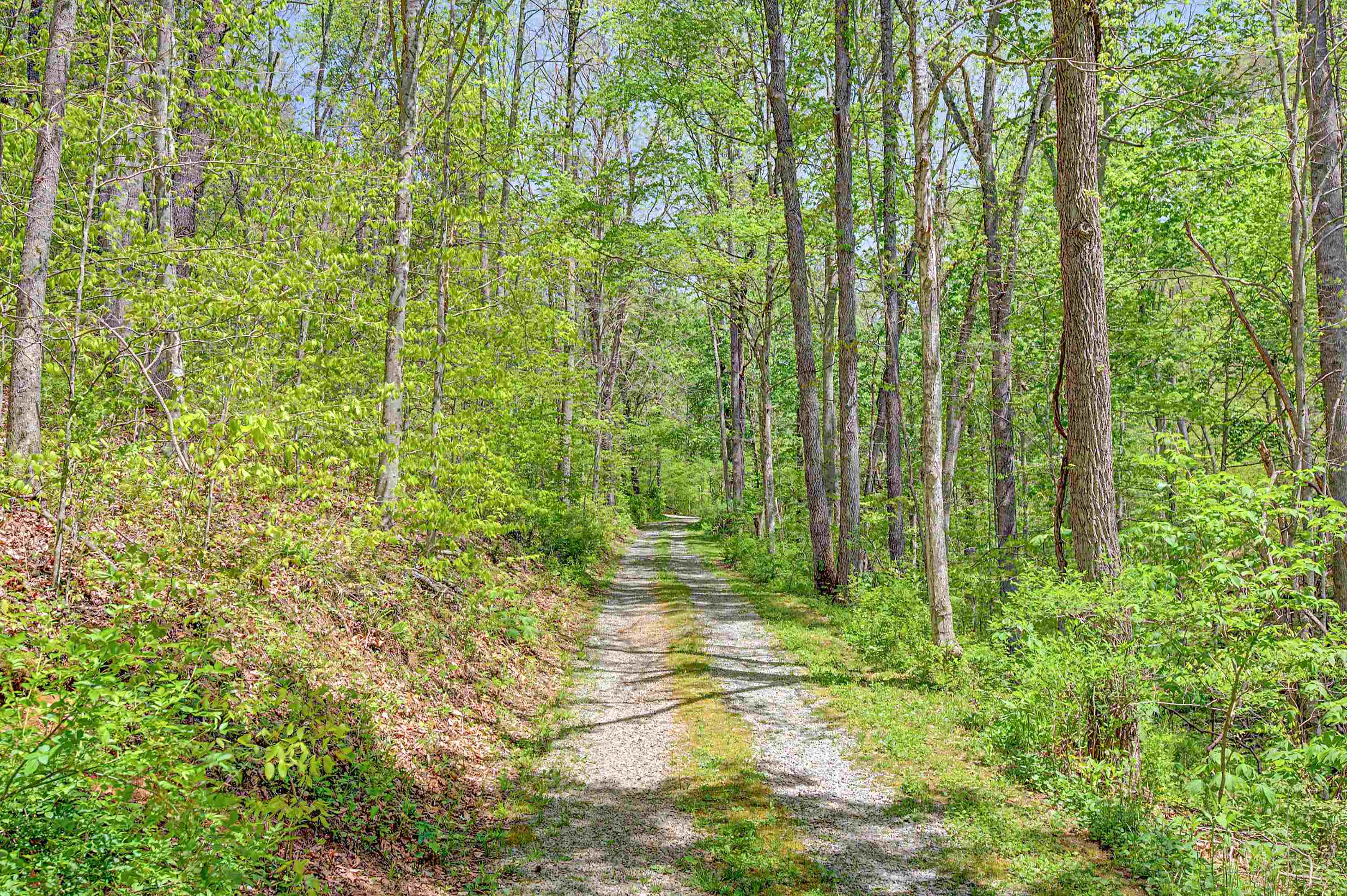 805 Sunset River Road Ceres VA 24318