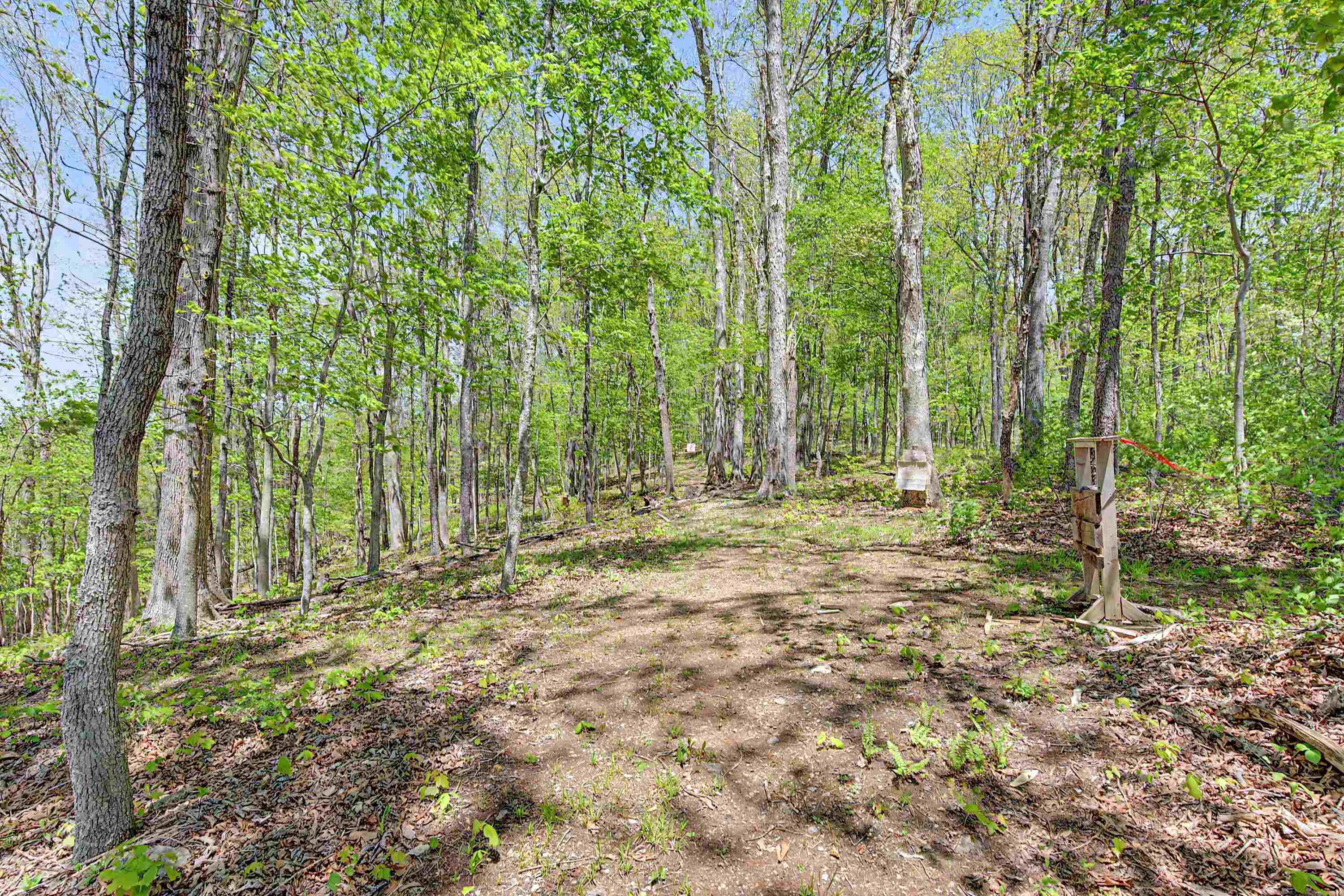 805 Sunset River Road Ceres VA 24318