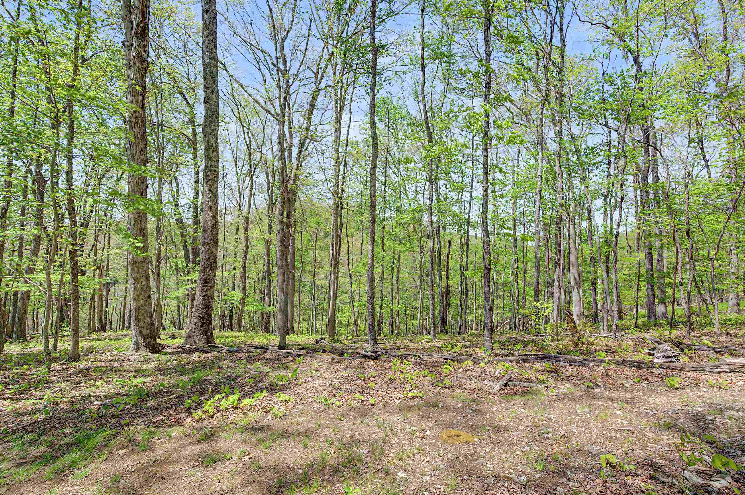 805 Sunset River Road Ceres VA 24318