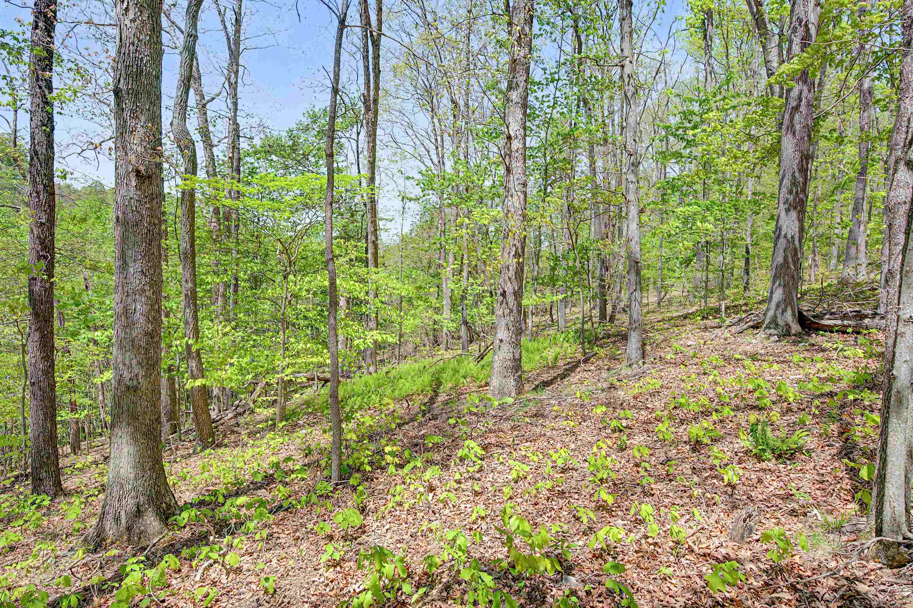 805 Sunset River Road Ceres VA 24318