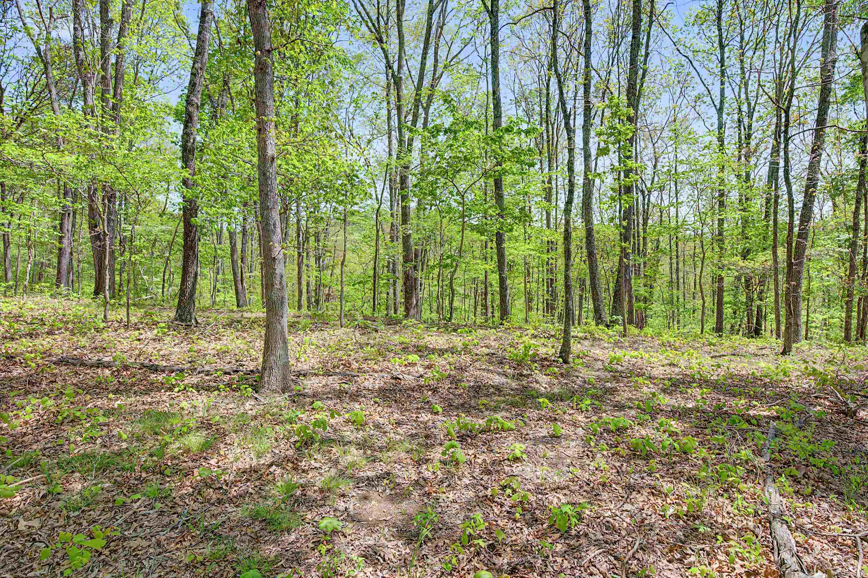 805 Sunset River Road Ceres VA 24318