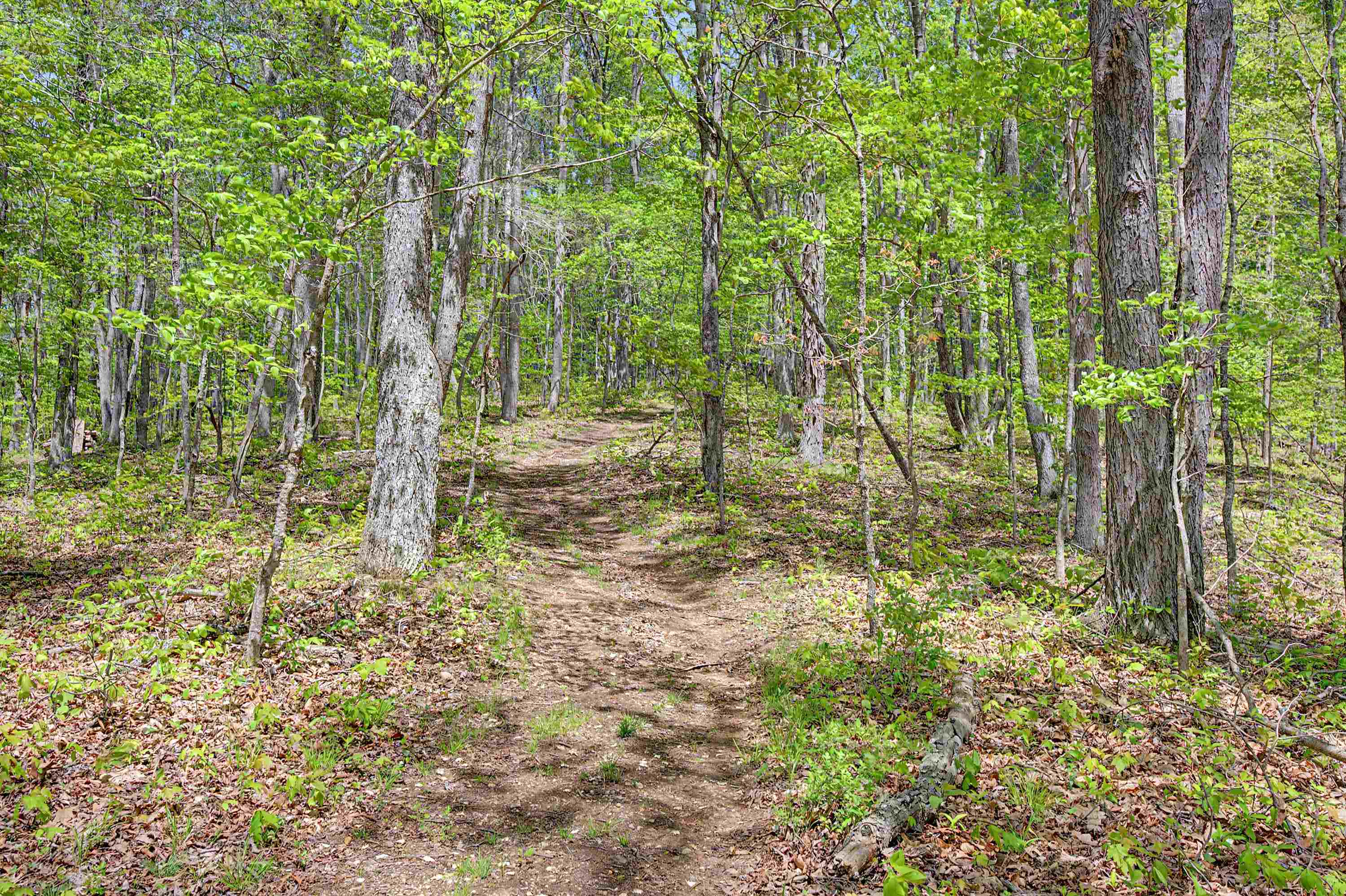 805 Sunset River Road Ceres VA 24318