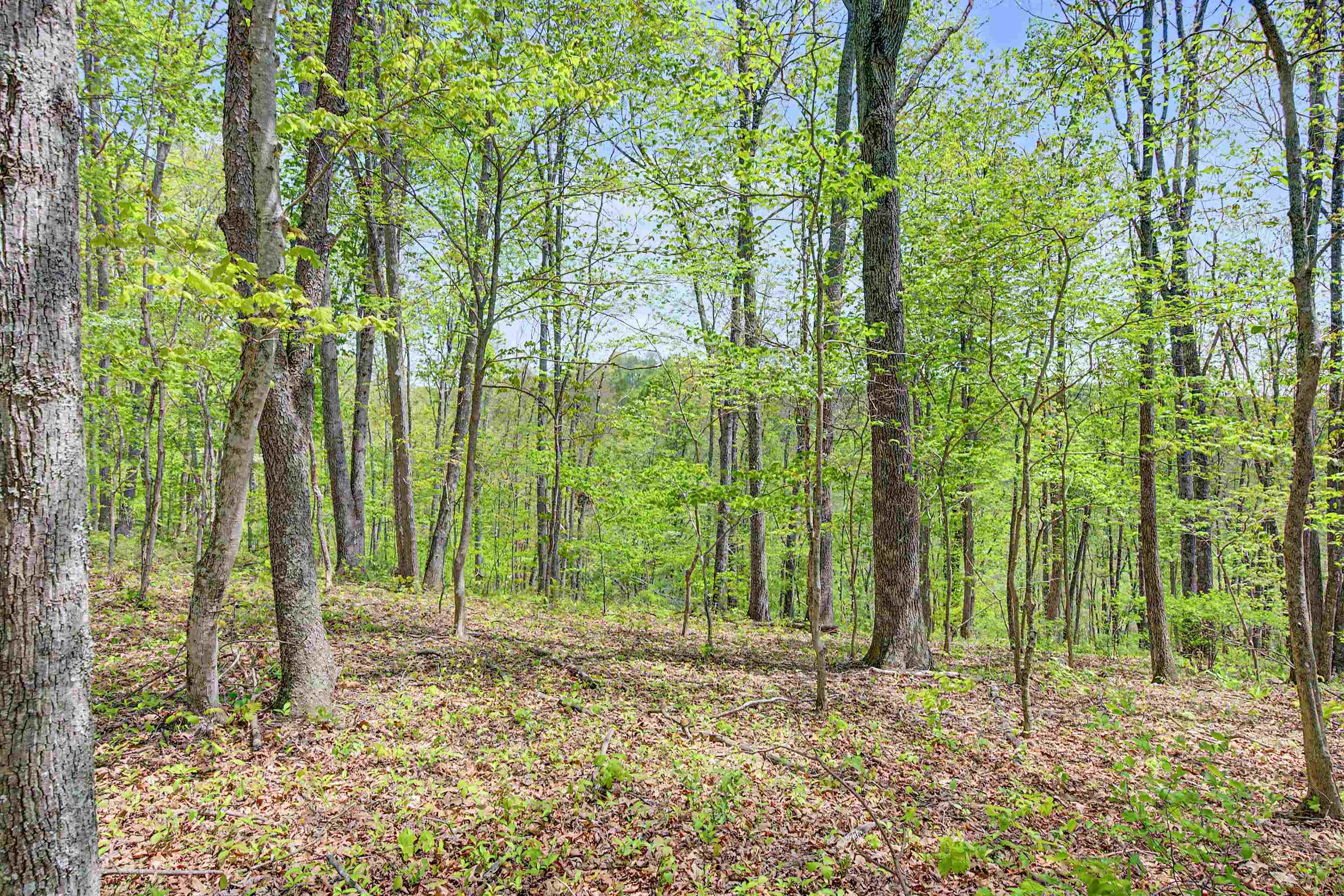 805 Sunset River Road Ceres VA 24318