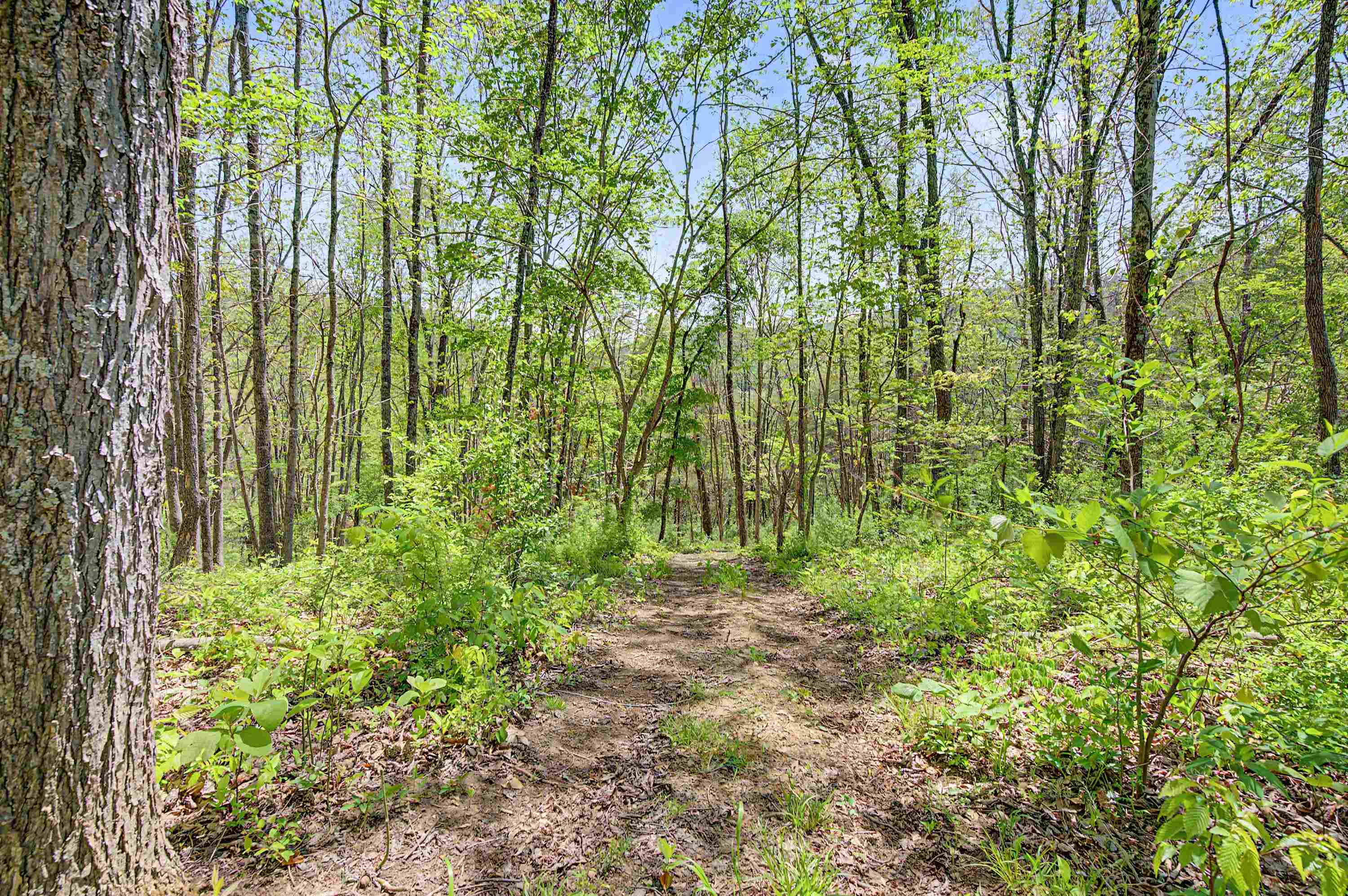 805 Sunset River Road Ceres VA 24318