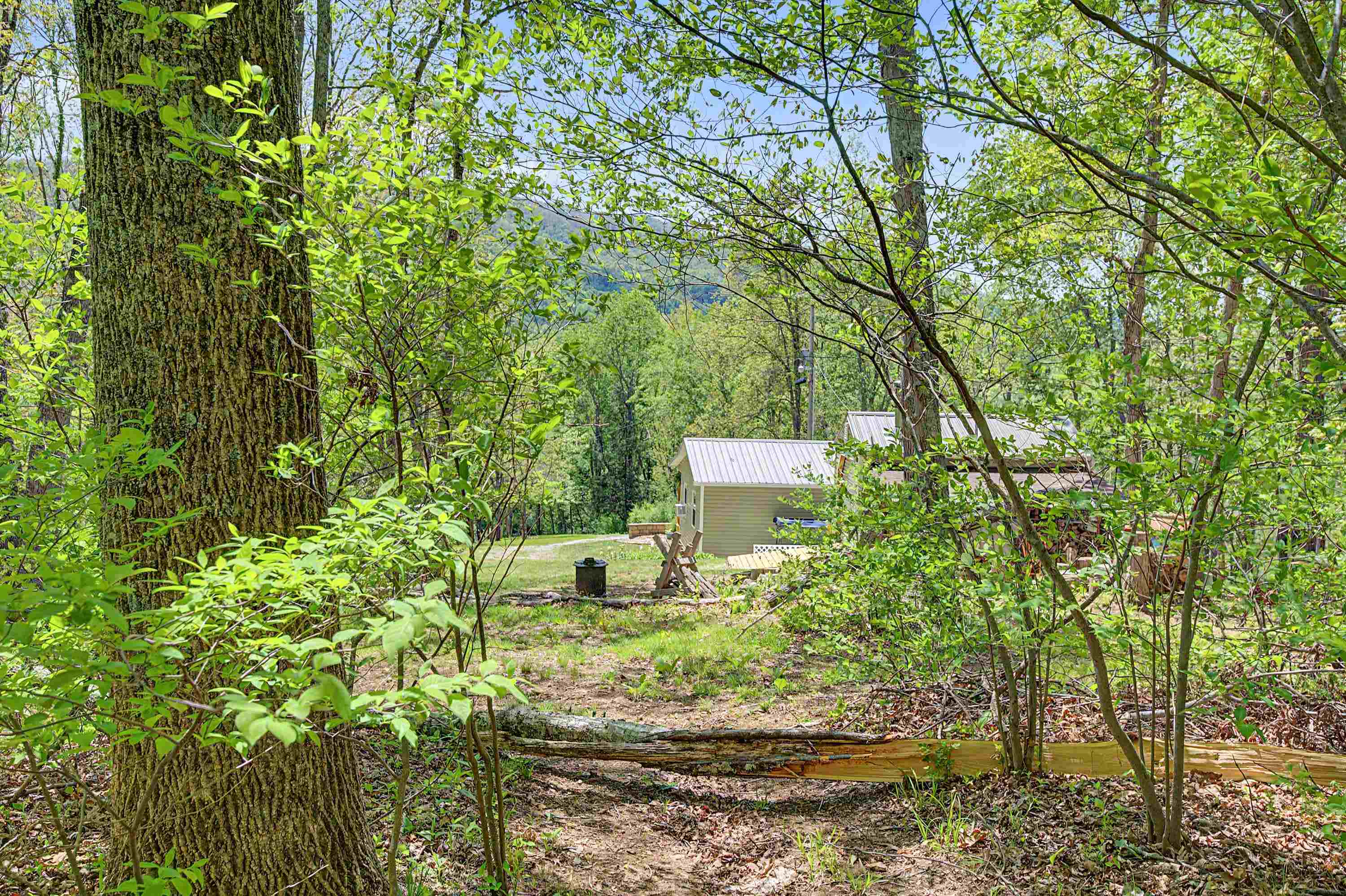 805 Sunset River Road Ceres VA 24318