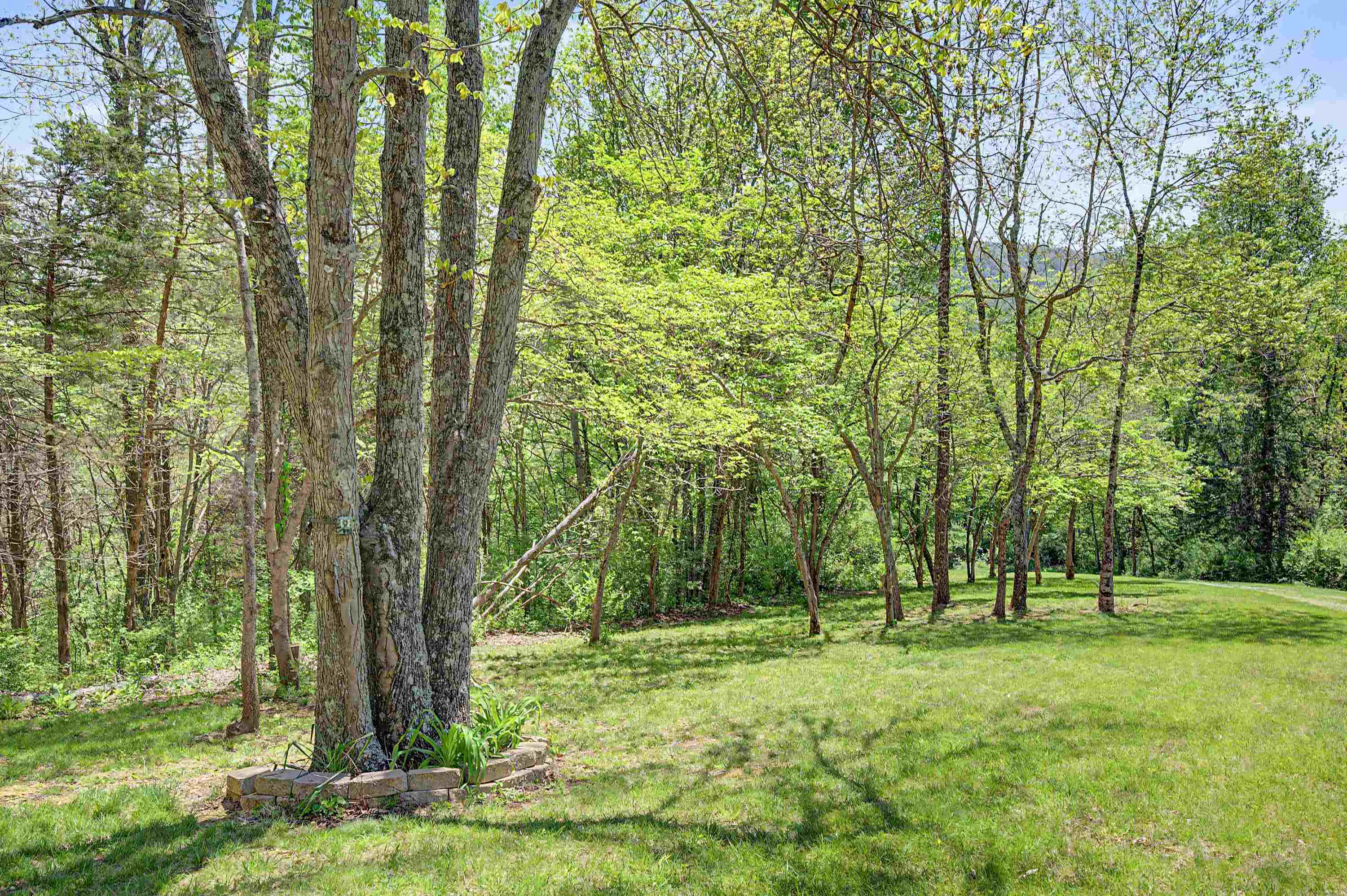 805 Sunset River Road Ceres VA 24318