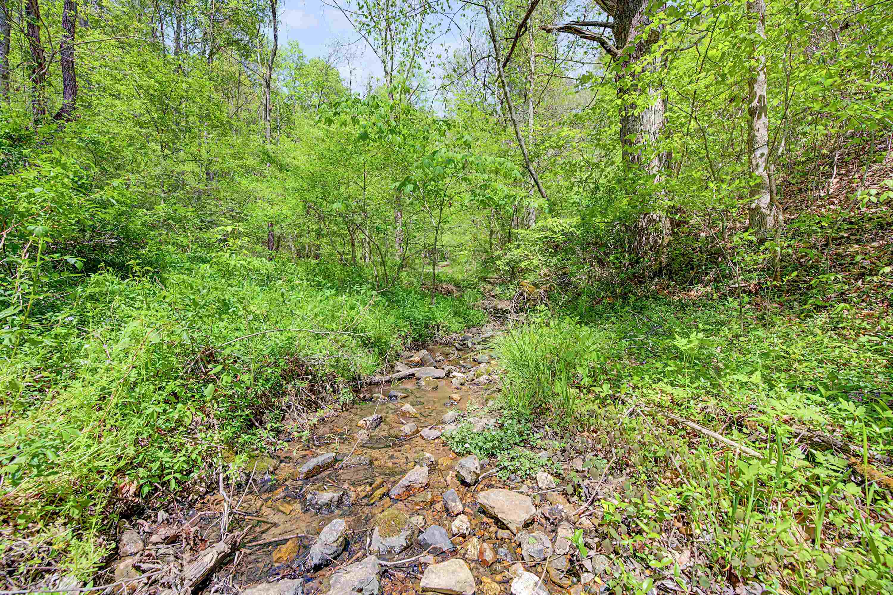 805 Sunset River Road Ceres VA 24318