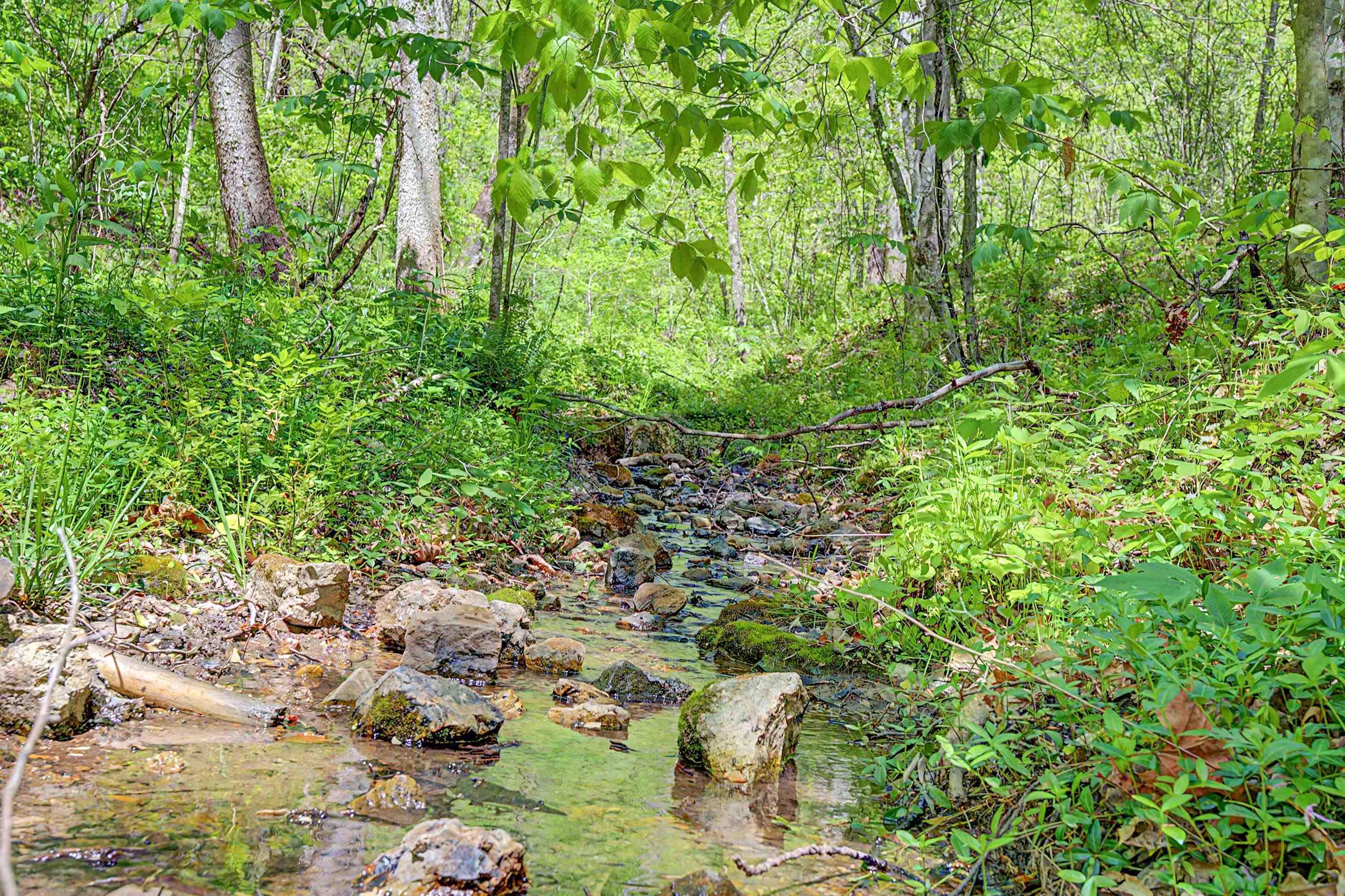 805 Sunset River Road Ceres VA 24318