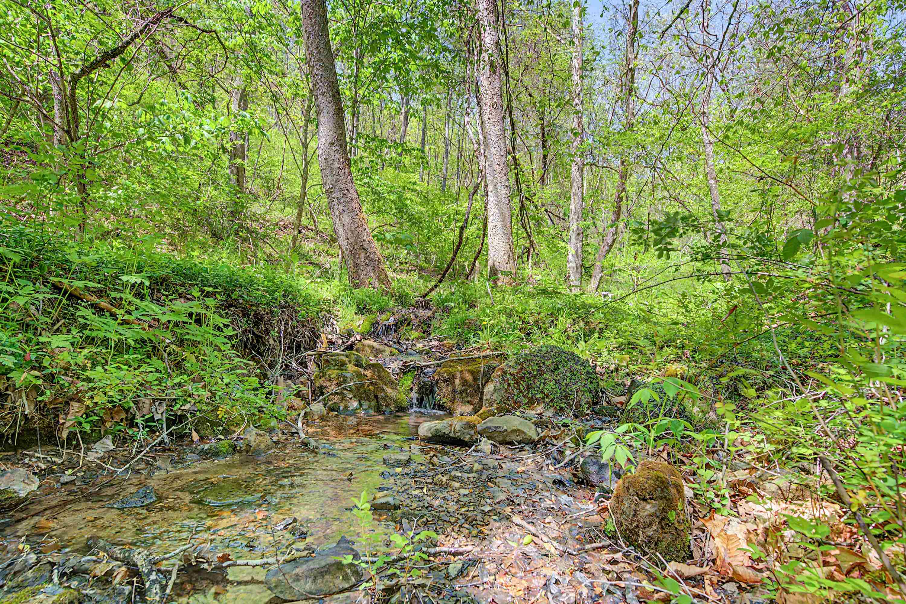 805 Sunset River Road Ceres VA 24318