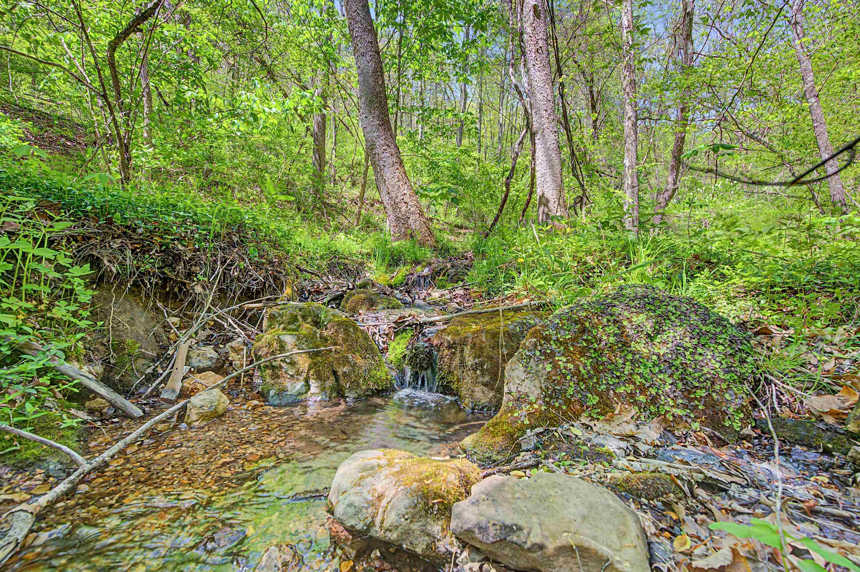 805 Sunset River Road Ceres VA 24318