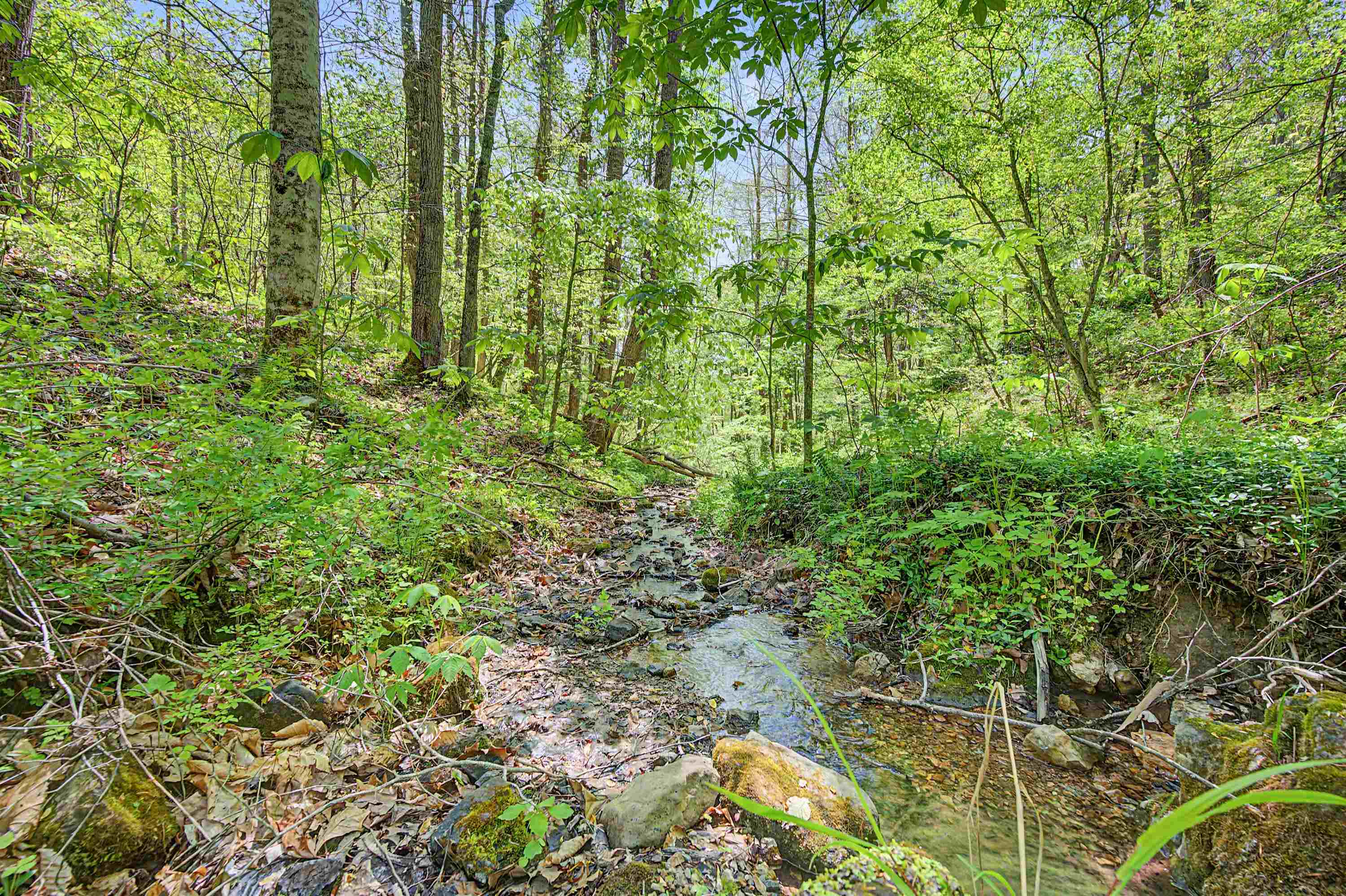 805 Sunset River Road Ceres VA 24318