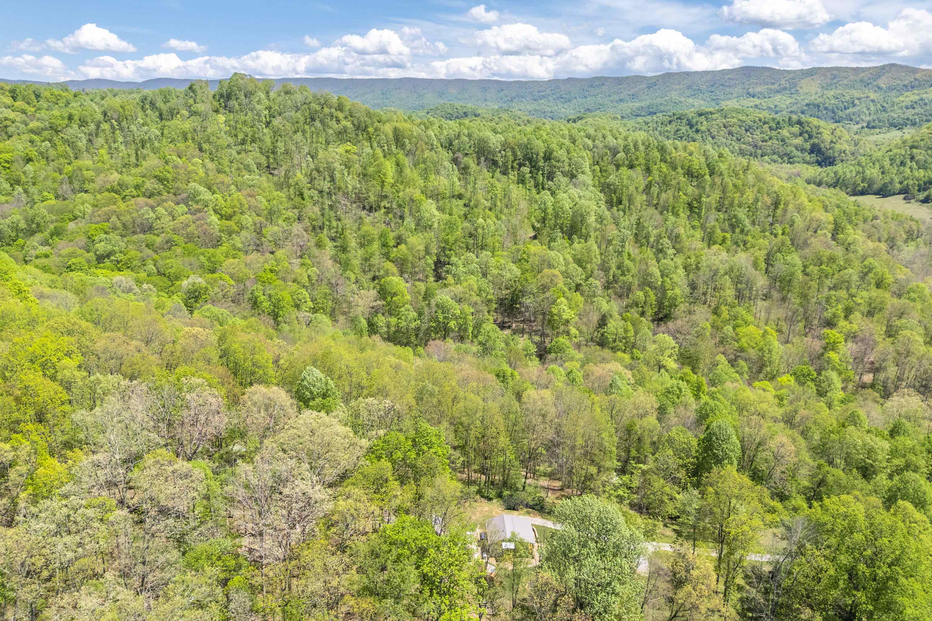 805 Sunset River Road Ceres VA 24318