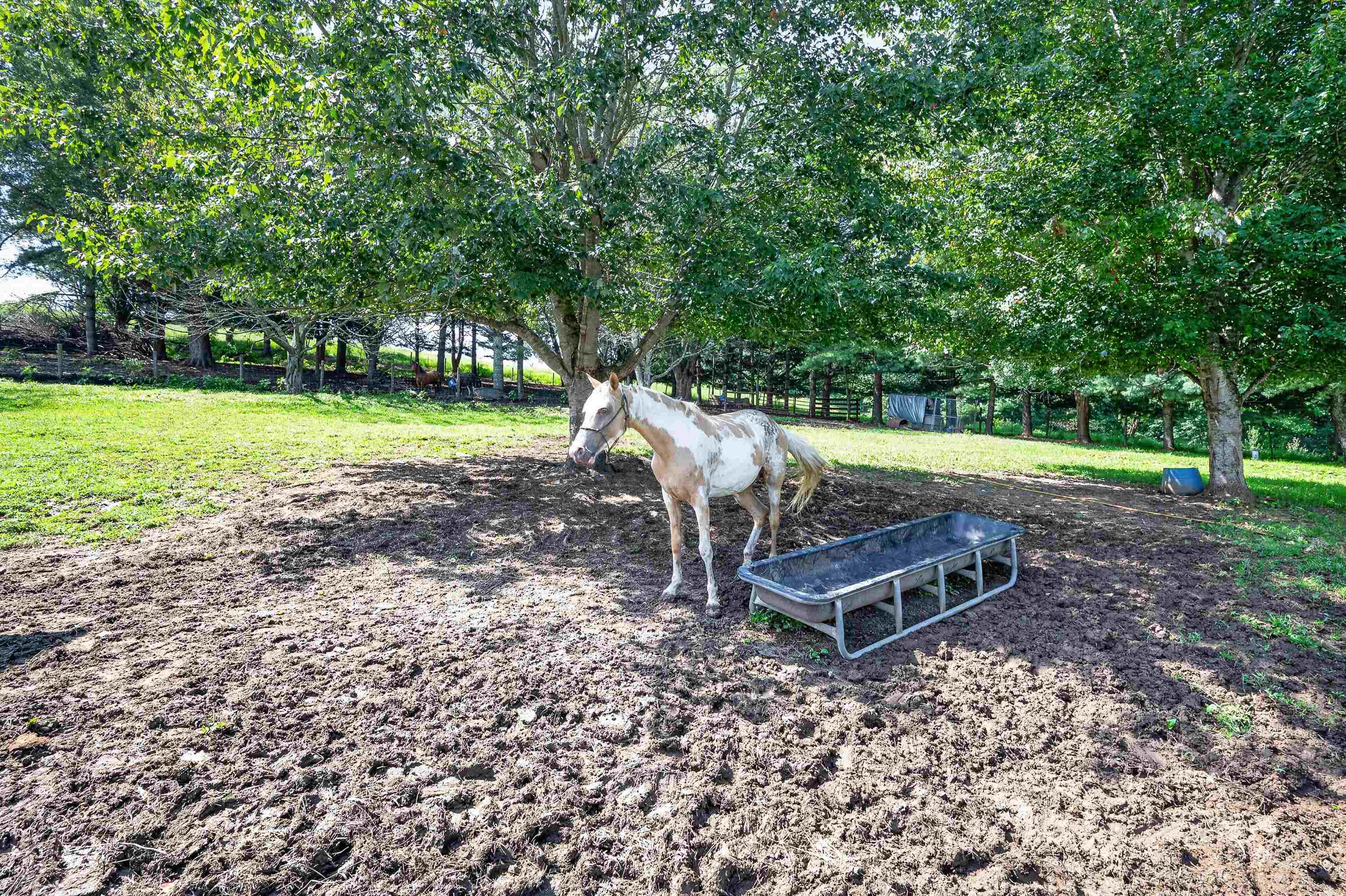 981 Cripple Creek Road Wytheville VA 24382