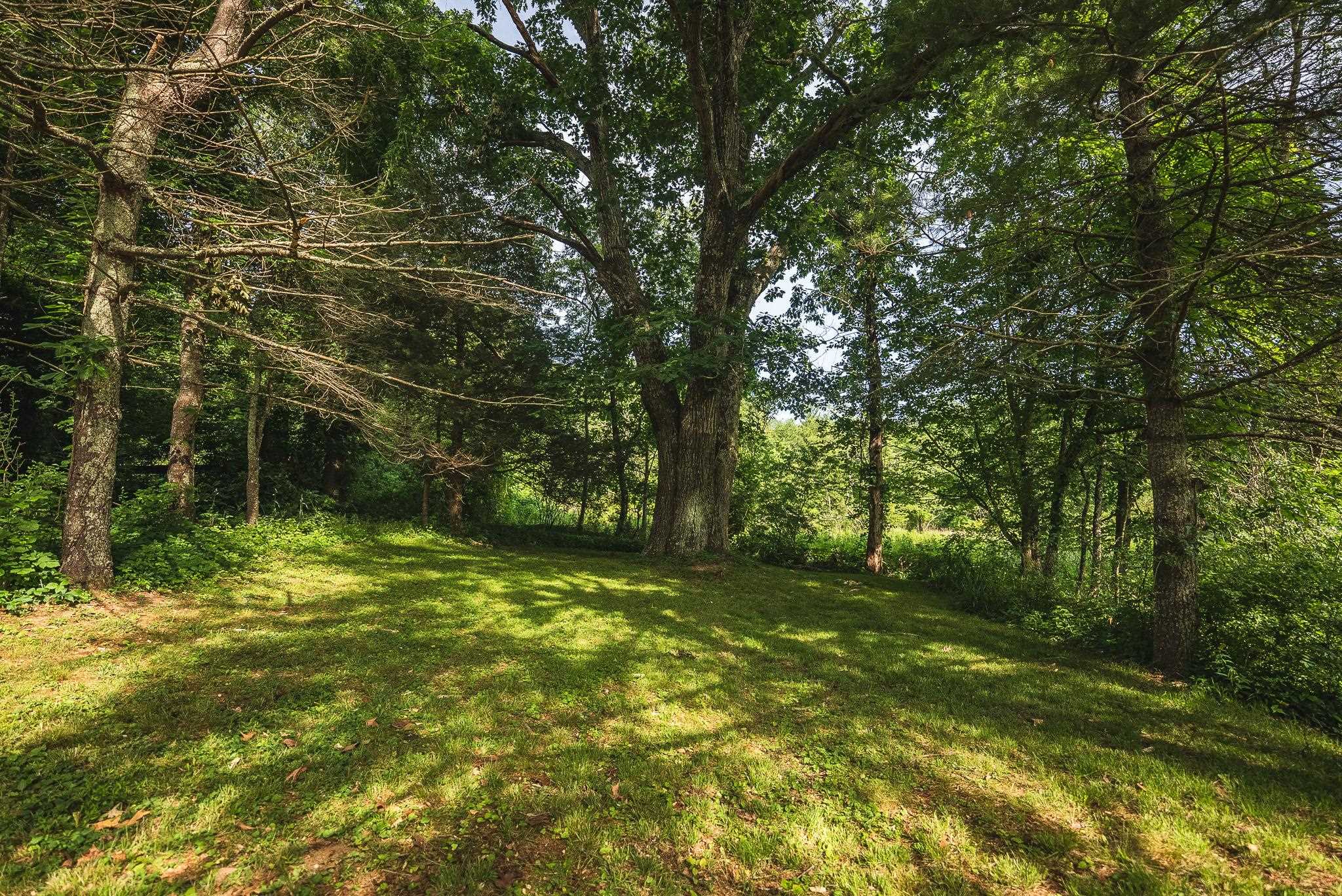 10289 Russwood Road Bent Mountain VA 24059