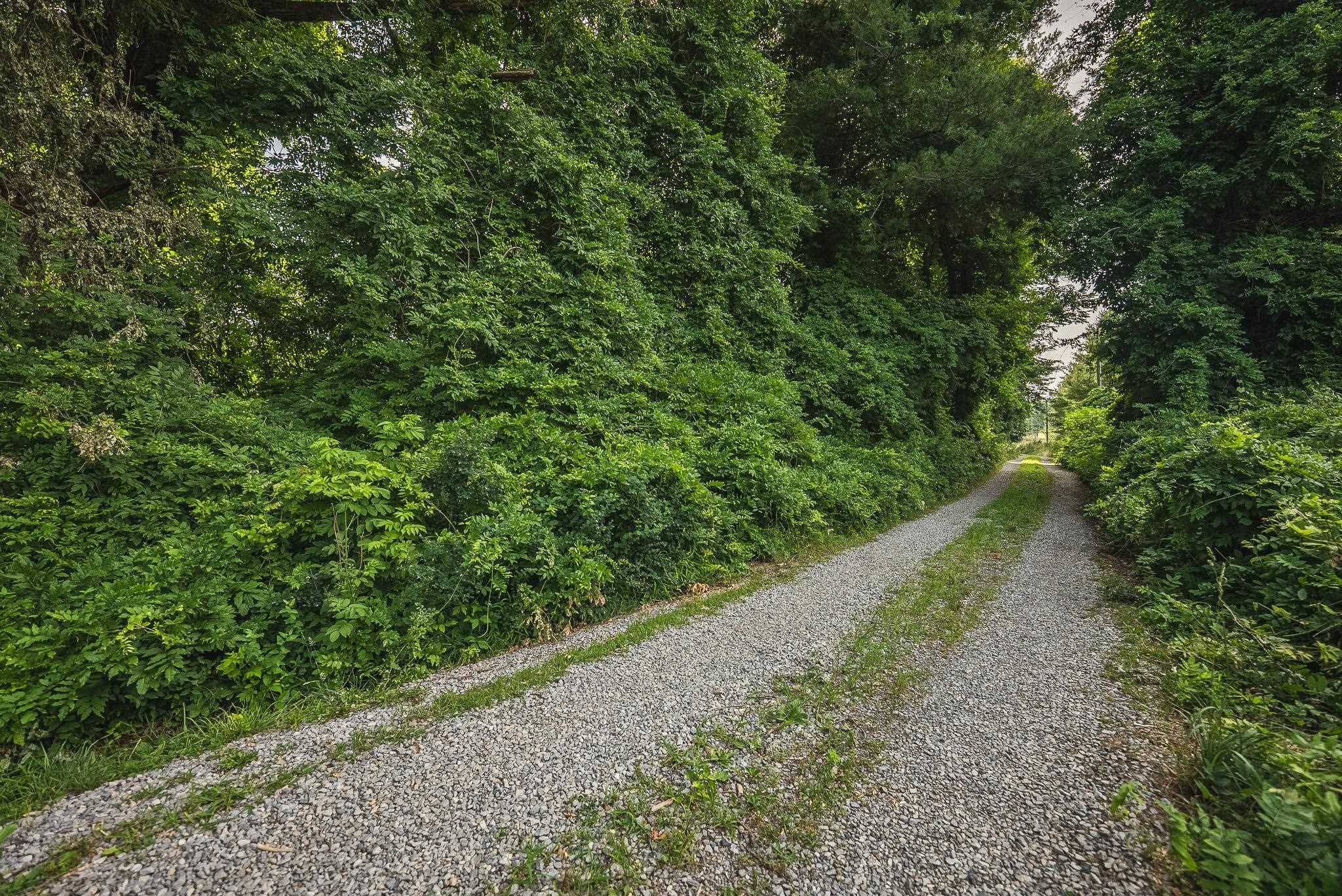 10289 Russwood Road Bent Mountain VA 24059