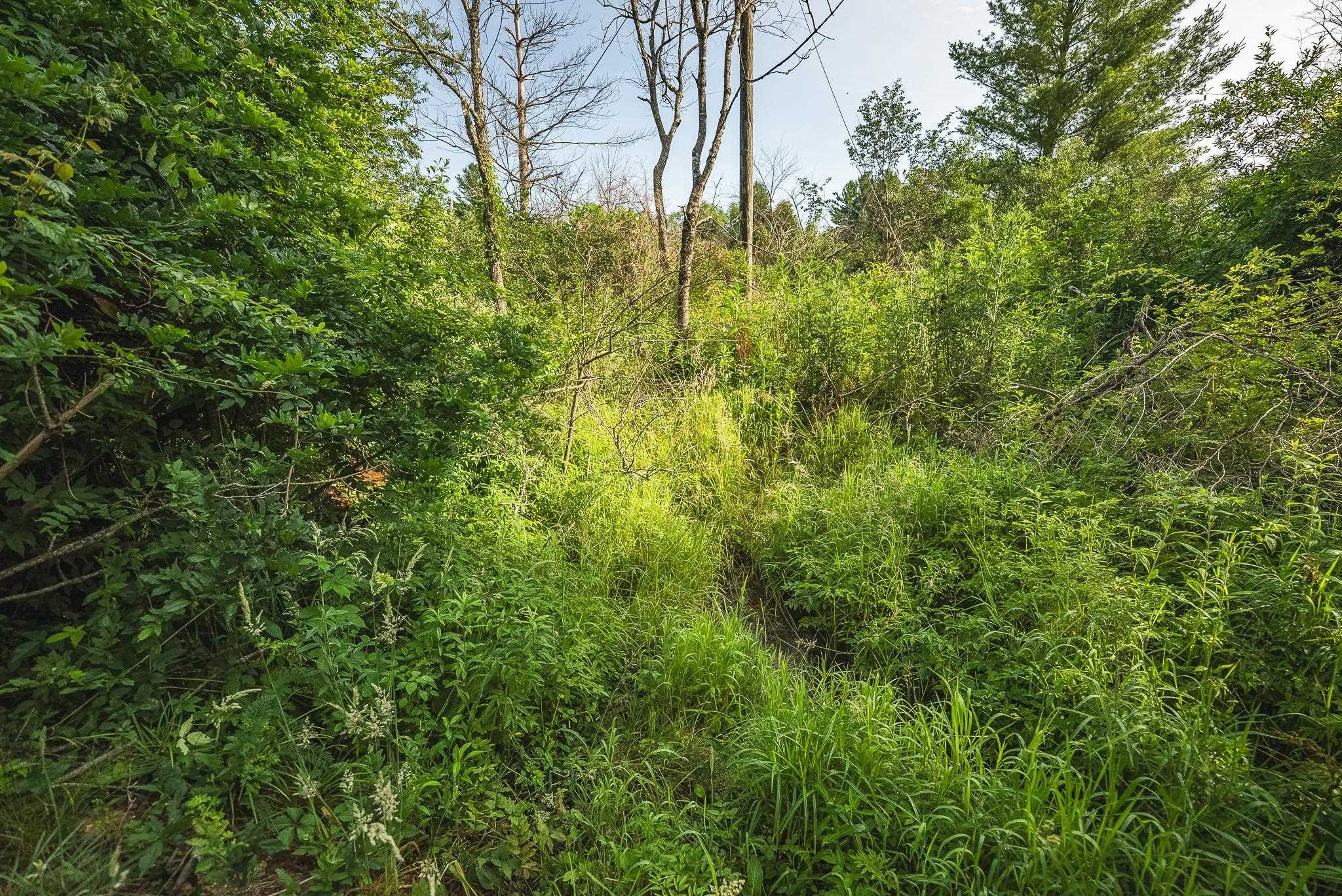 10289 Russwood Road Bent Mountain VA 24059