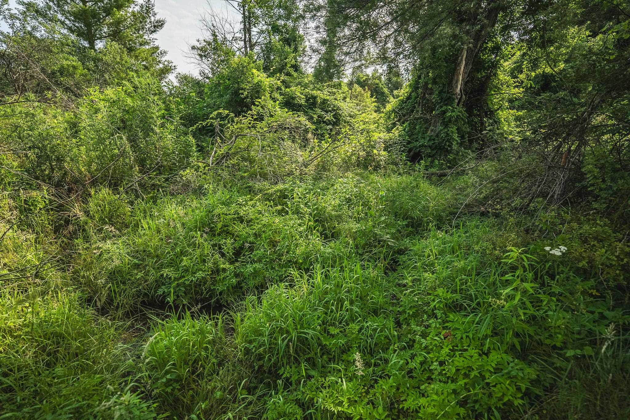 10289 Russwood Road Bent Mountain VA 24059