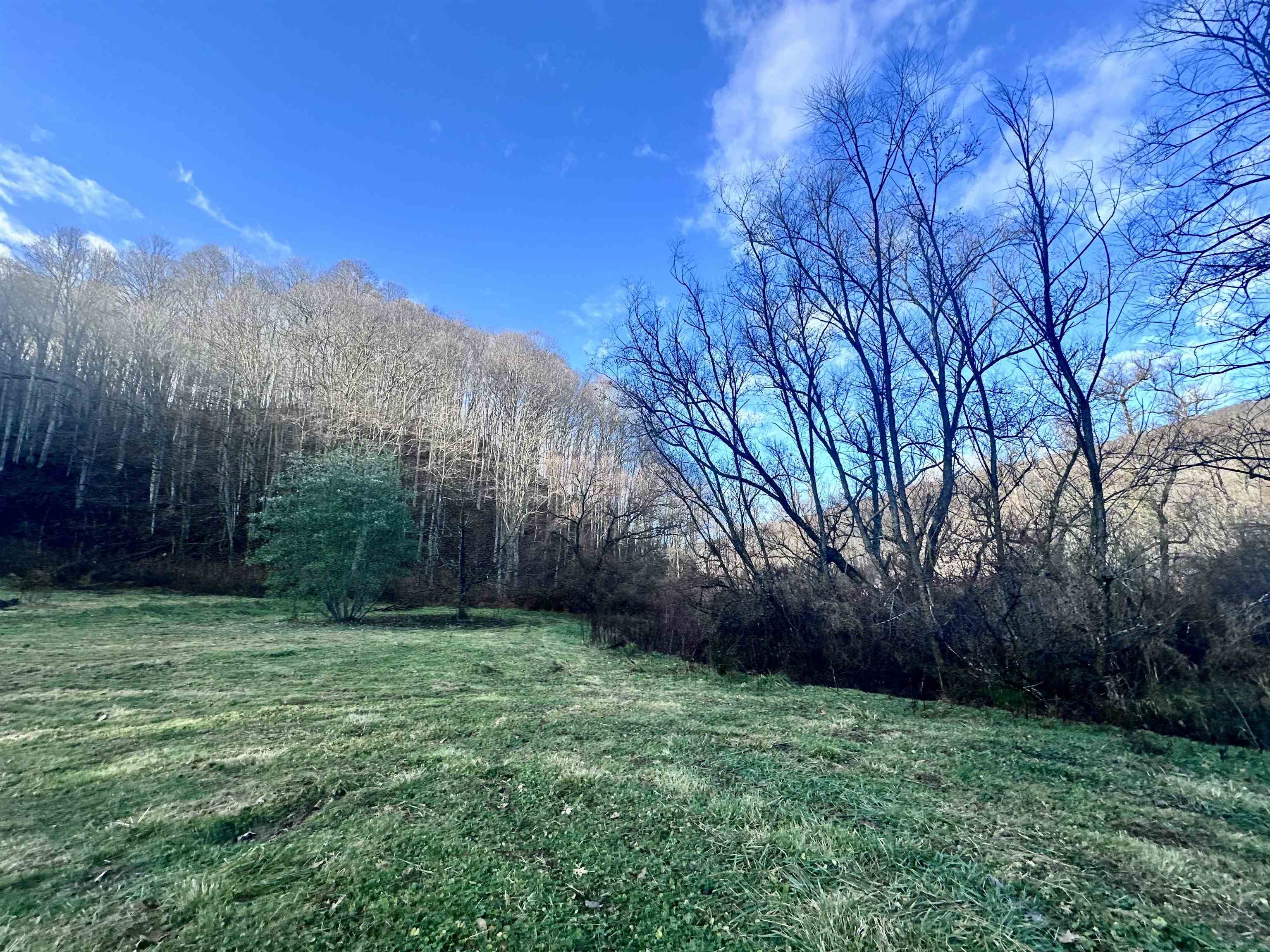 7688 Mud Fork Road Bluefield VA 24605