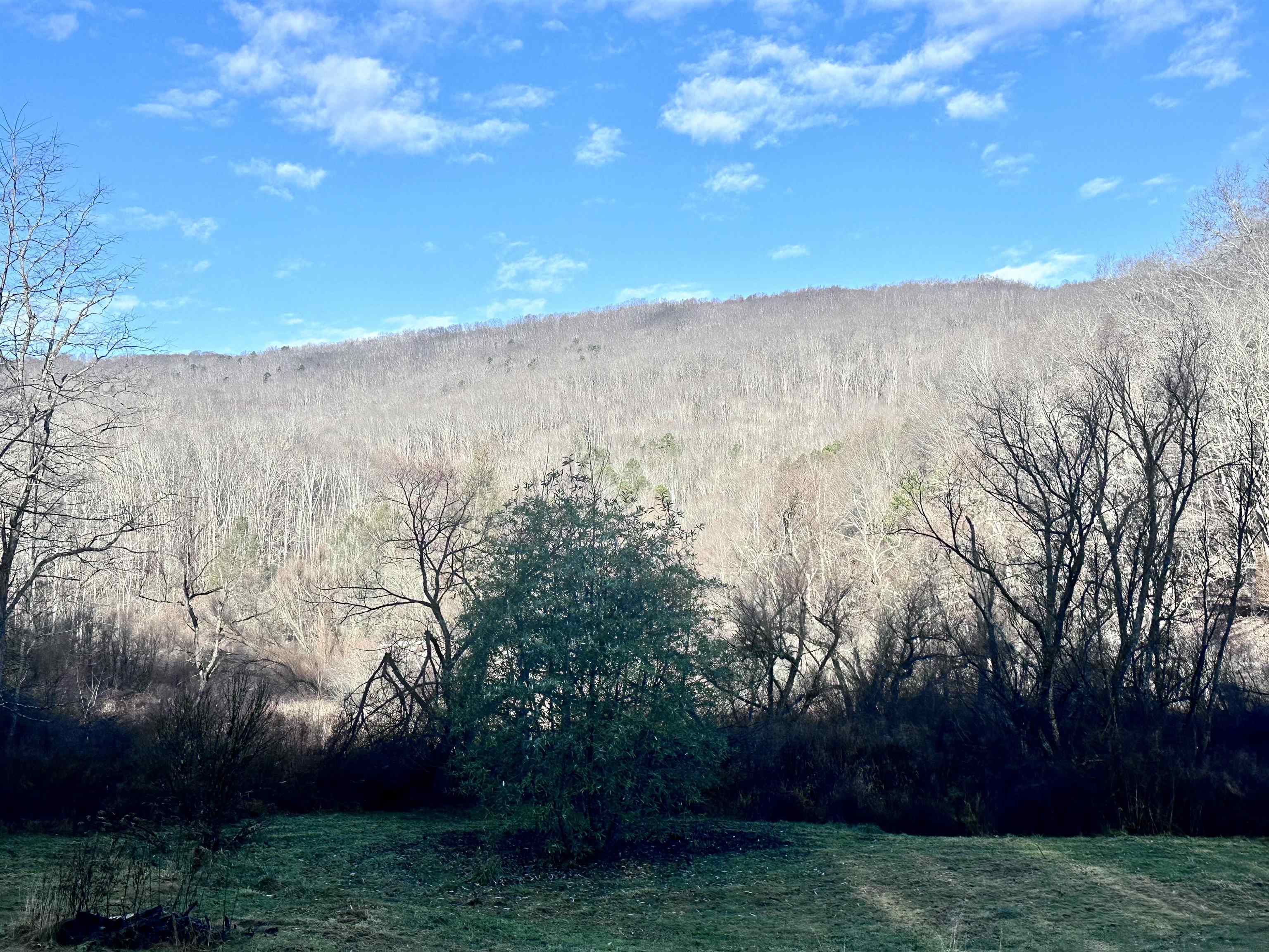 7688 Mud Fork Road Bluefield VA 24605